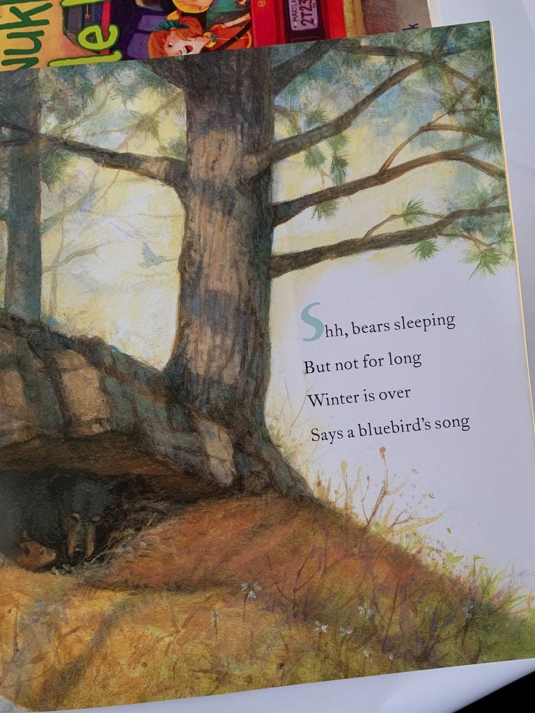 Shh! Bears Sleeping – David Martin - Ảnh thực tế 6