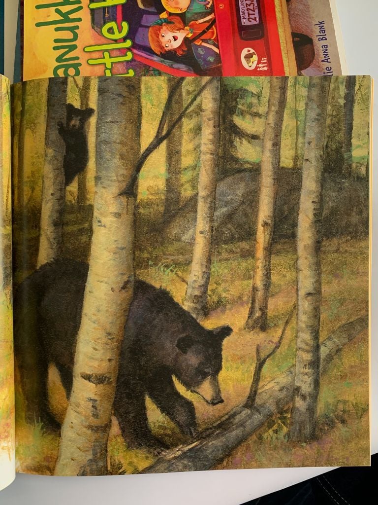 Shh! Bears Sleeping – David Martin - Ảnh thực tế 7