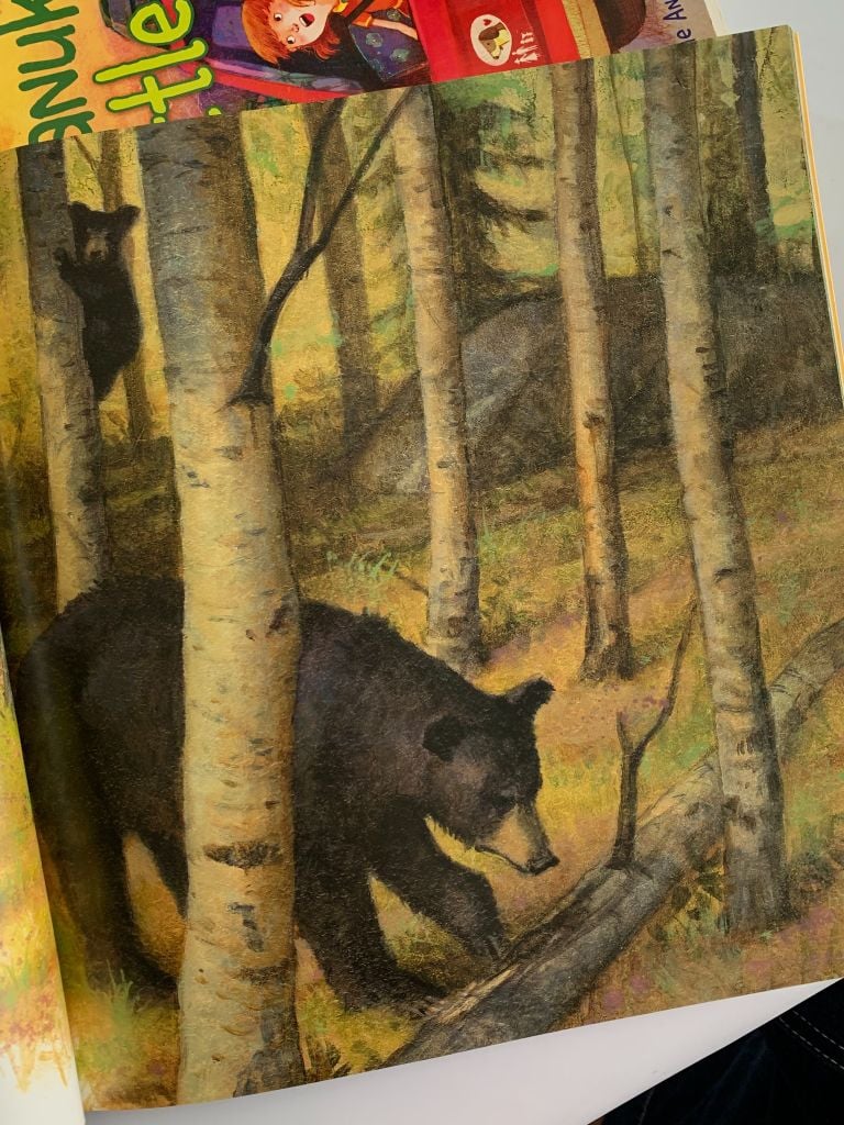 Shh! Bears Sleeping – David Martin - Ảnh thực tế 8