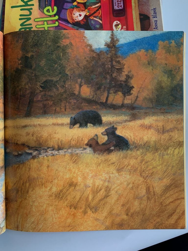 Shh! Bears Sleeping – David Martin - Ảnh thực tế 9