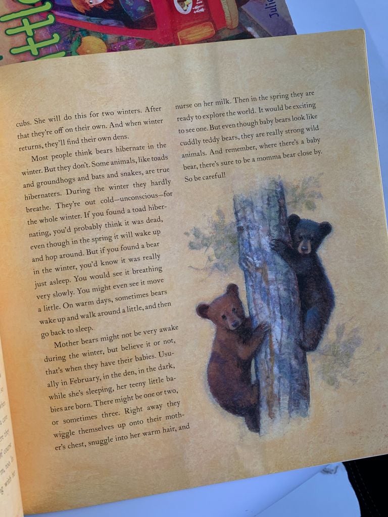 Shh! Bears Sleeping – David Martin - Ảnh thực tế 10