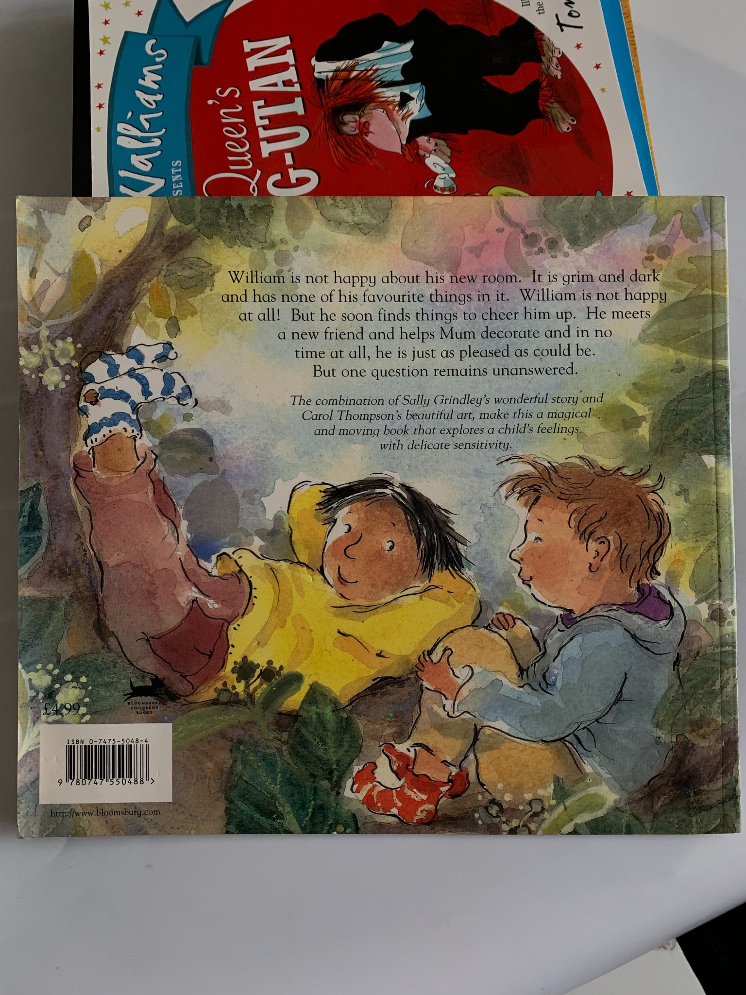 A New Room for William – Sally Grindley - ảnh 3