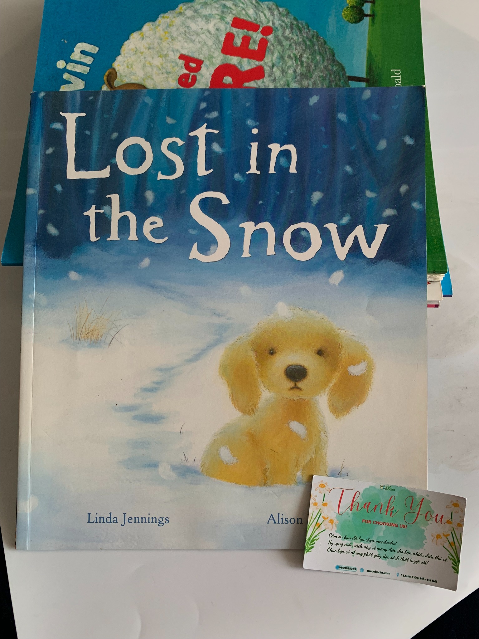 Lost in the Snow – Linda Jennings & Alison Edgson