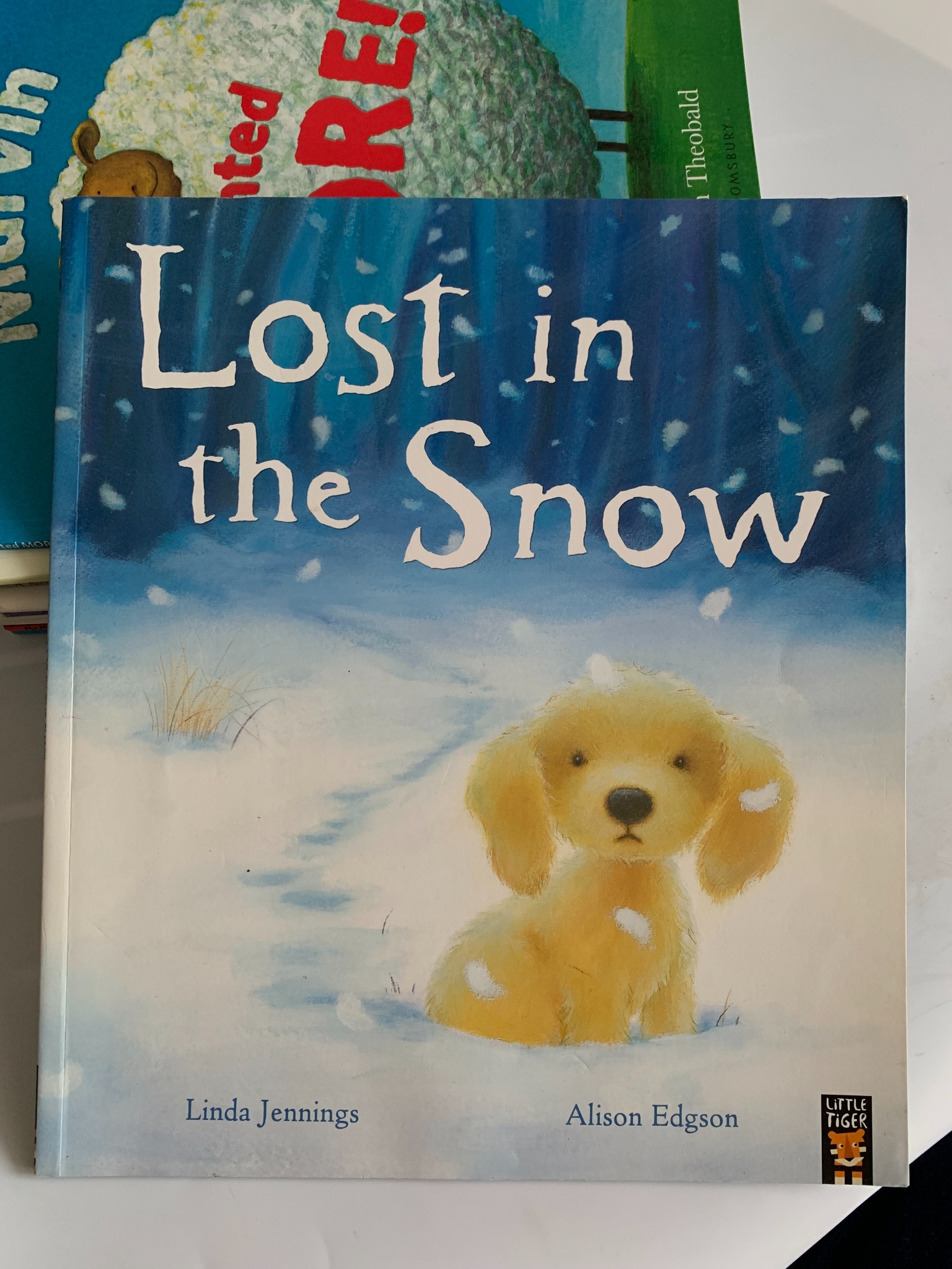 Lost in the Snow – Linda Jennings & Alison Edgson - ảnh 2