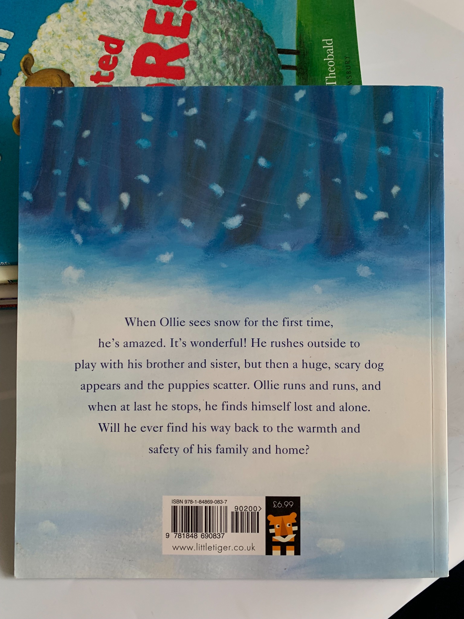 Lost in the Snow – Linda Jennings & Alison Edgson - ảnh 3