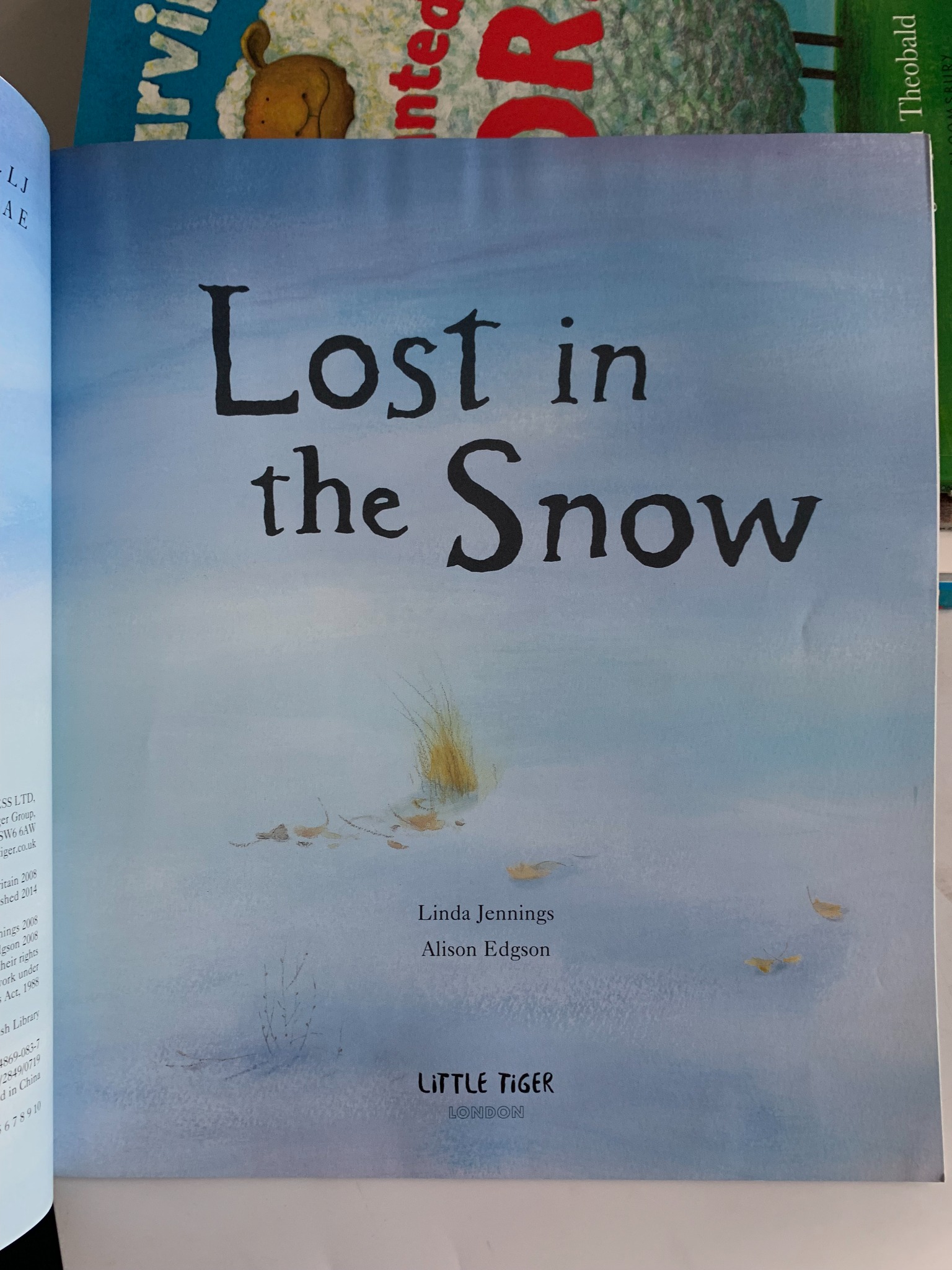 Lost in the Snow – Linda Jennings & Alison Edgson - ảnh 4