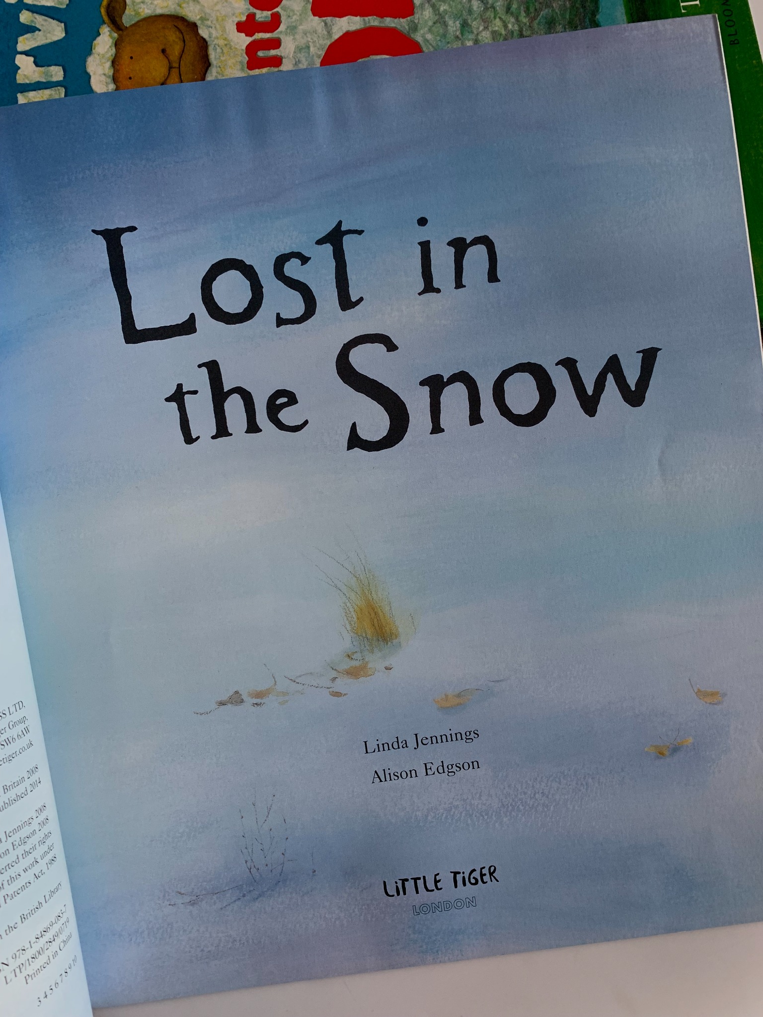 Lost in the Snow – Linda Jennings & Alison Edgson - ảnh 5