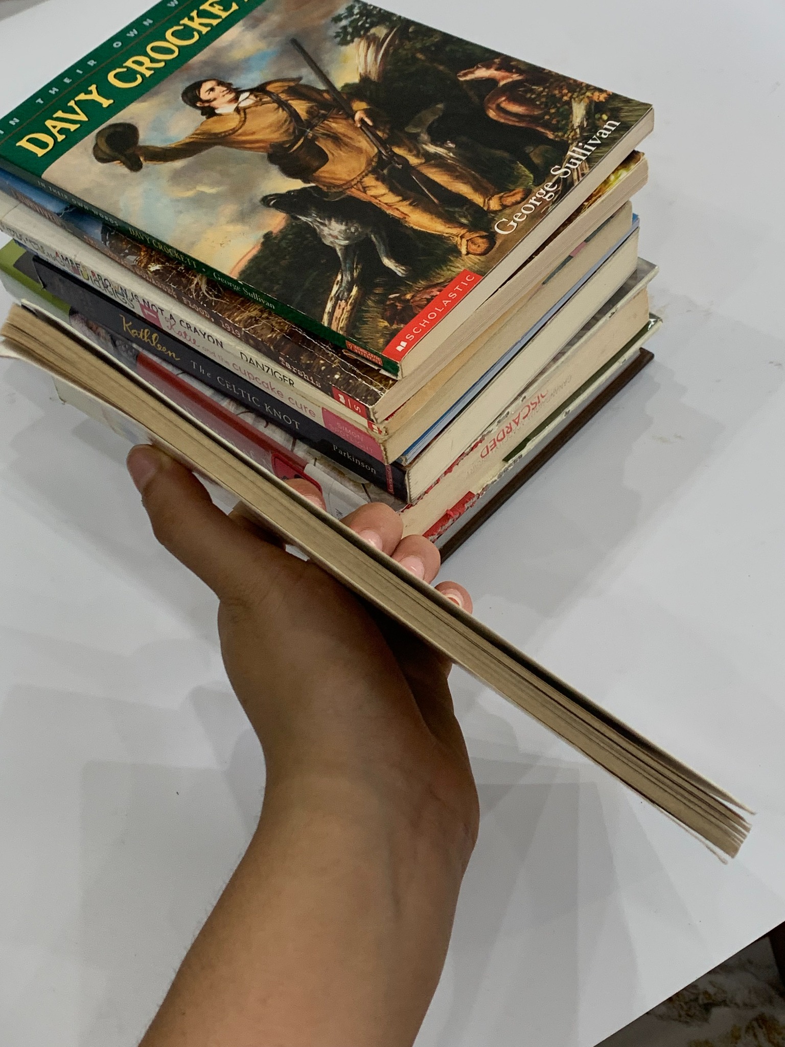 Lauren the Puppy Fairy – Daisy Meadows