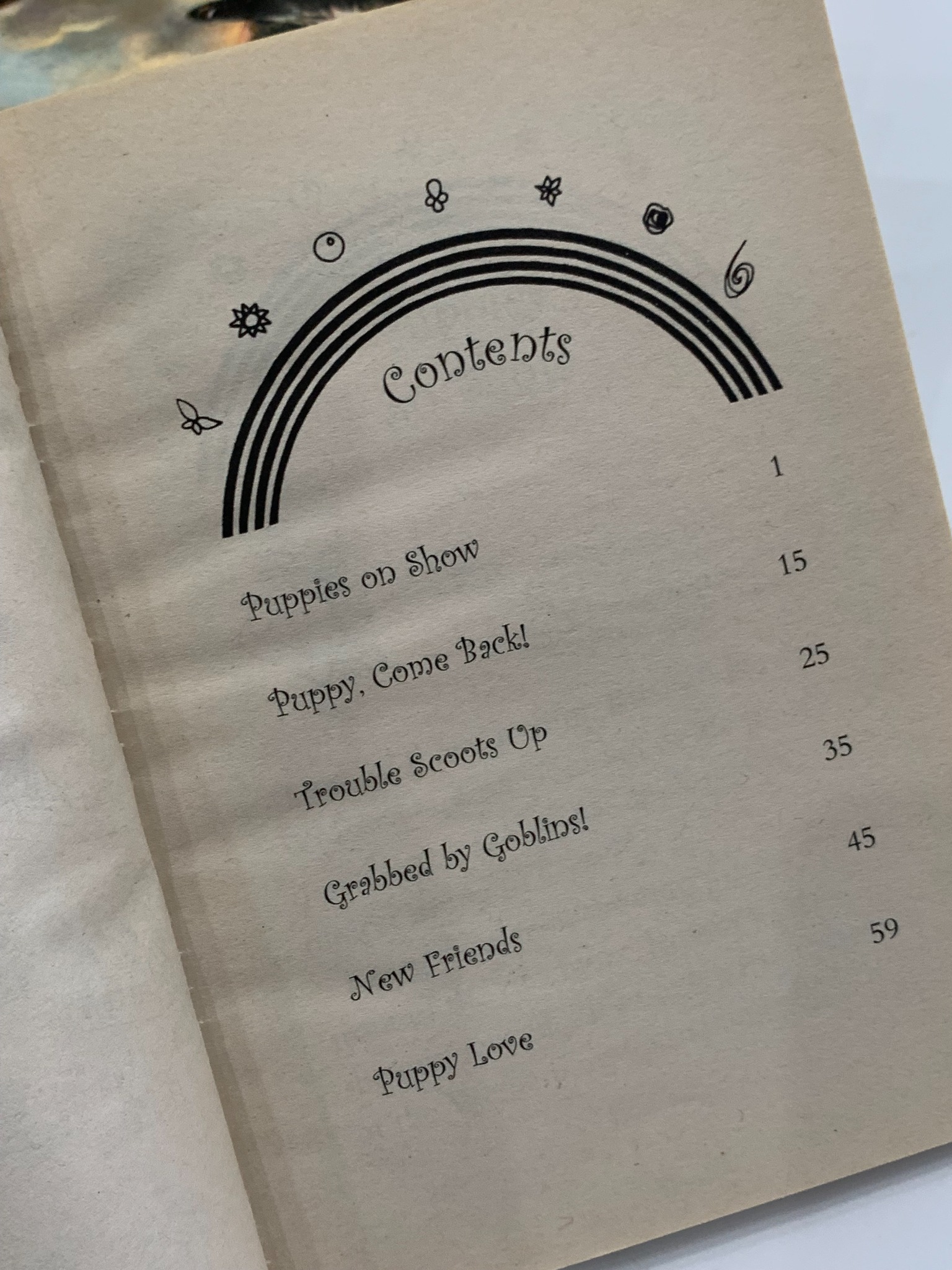 Lauren the Puppy Fairy – Daisy Meadows