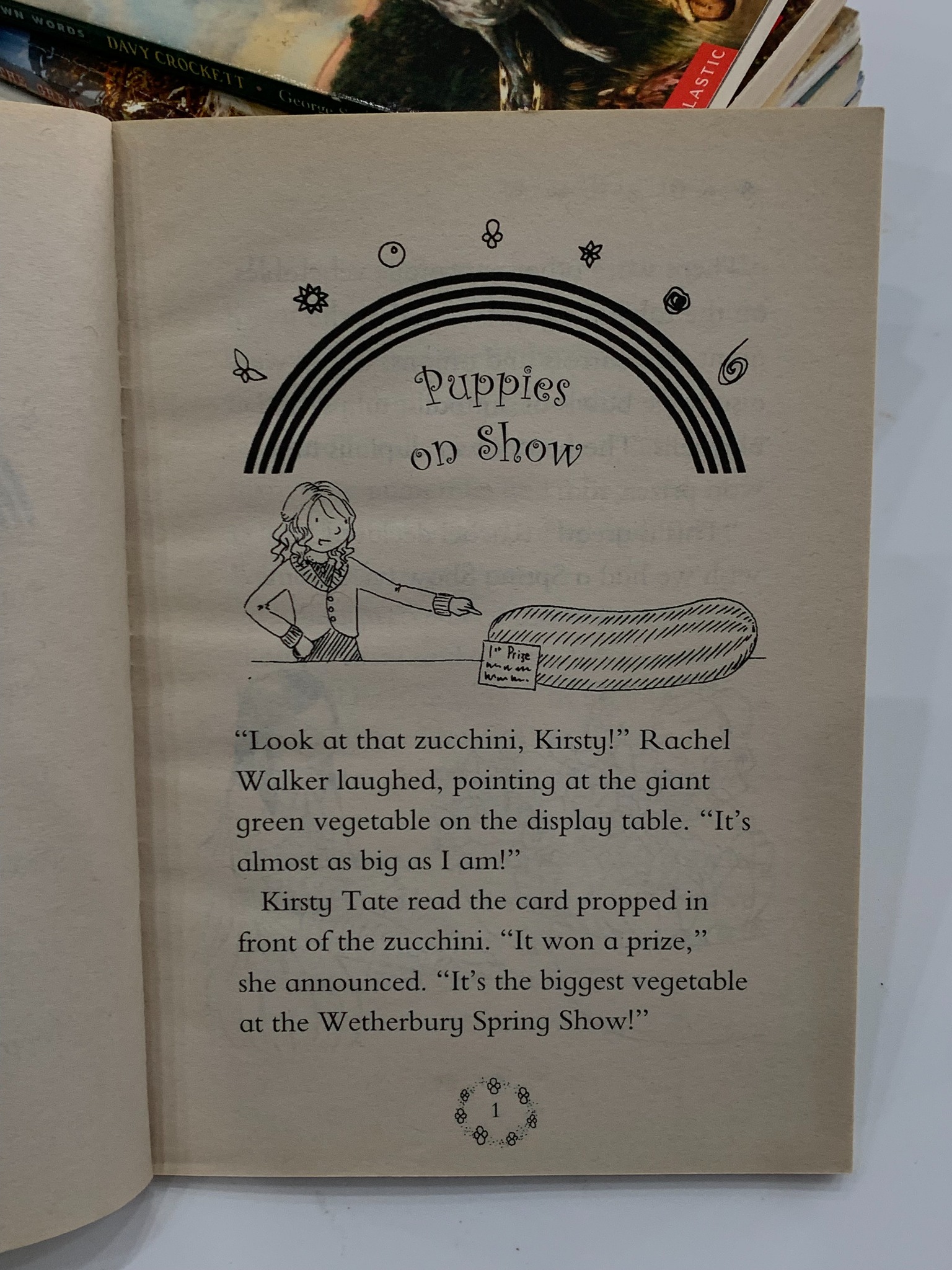 Lauren the Puppy Fairy – Daisy Meadows