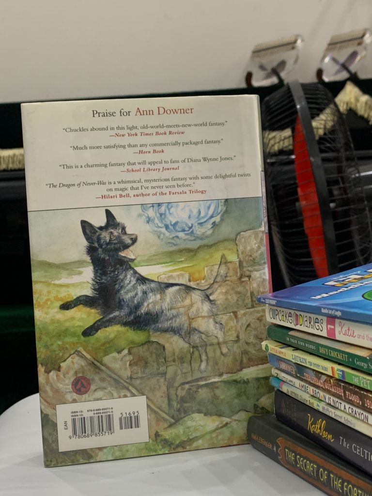 The Dragon of Never-Was – Ann Downer - Ảnh thực tế 3