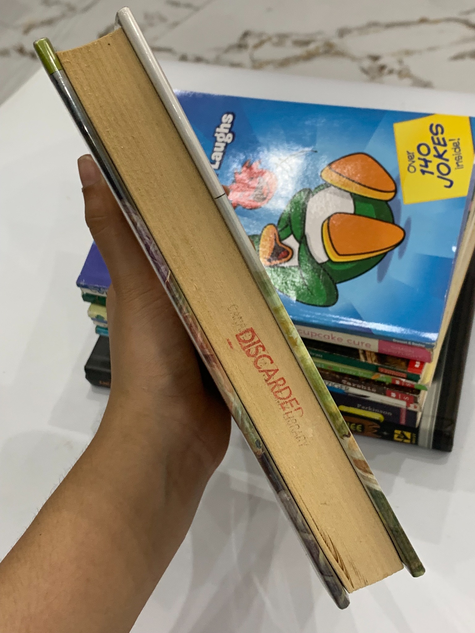 The Dragon of Never-Was – Ann Downer