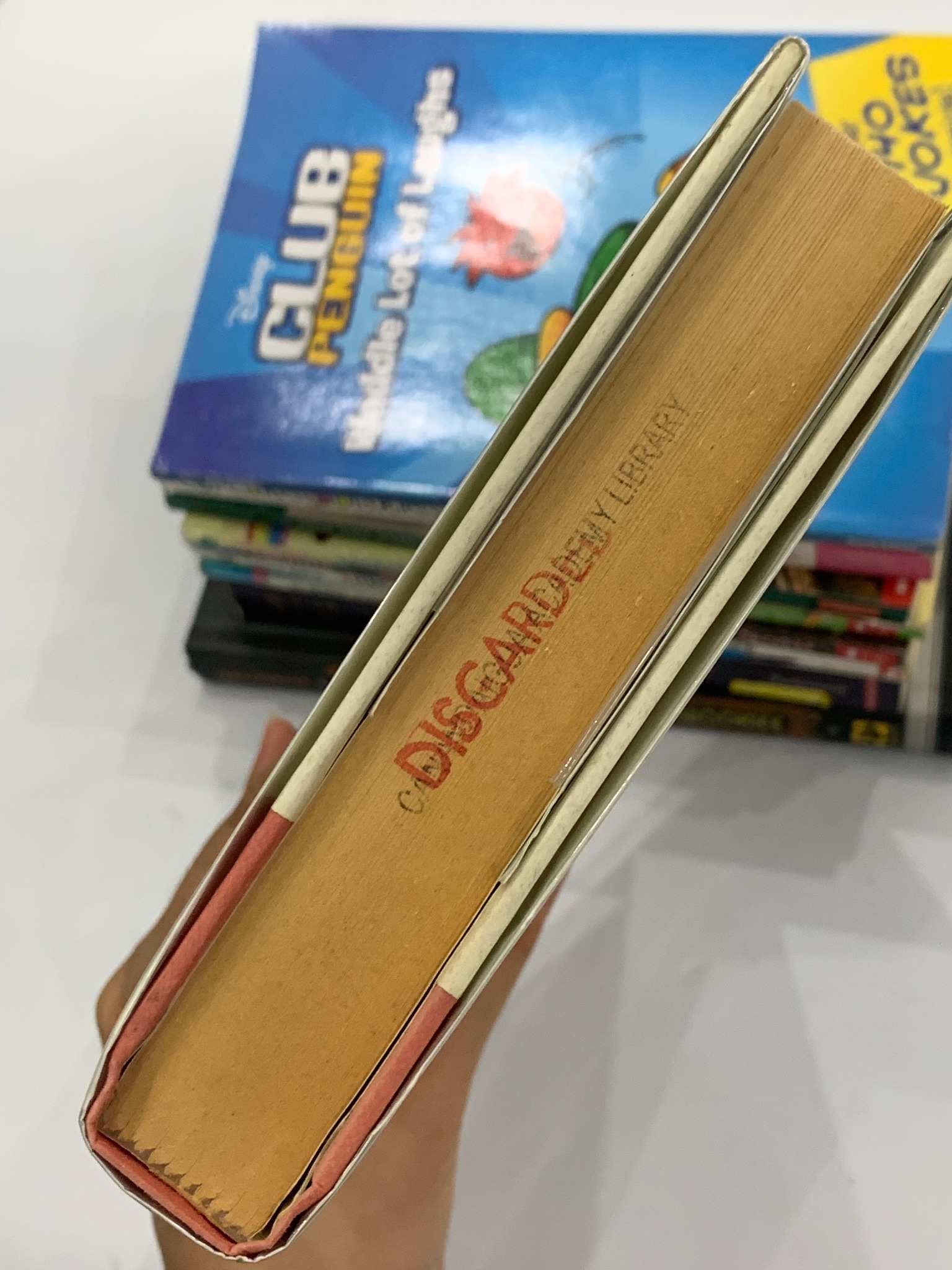 The Dragon of Never-Was – Ann Downer