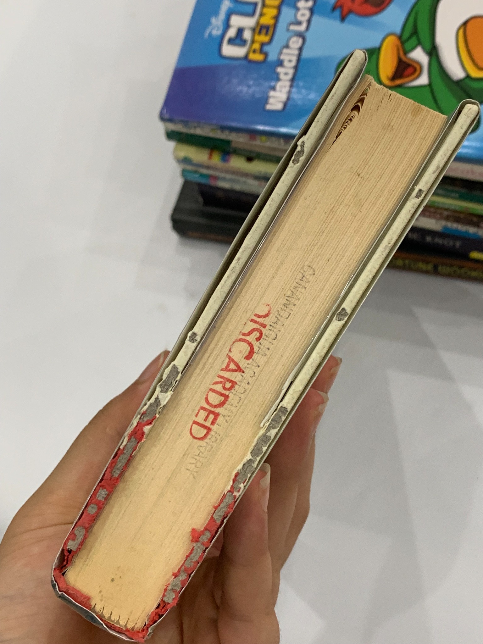 The Dragon of Never-Was – Ann Downer