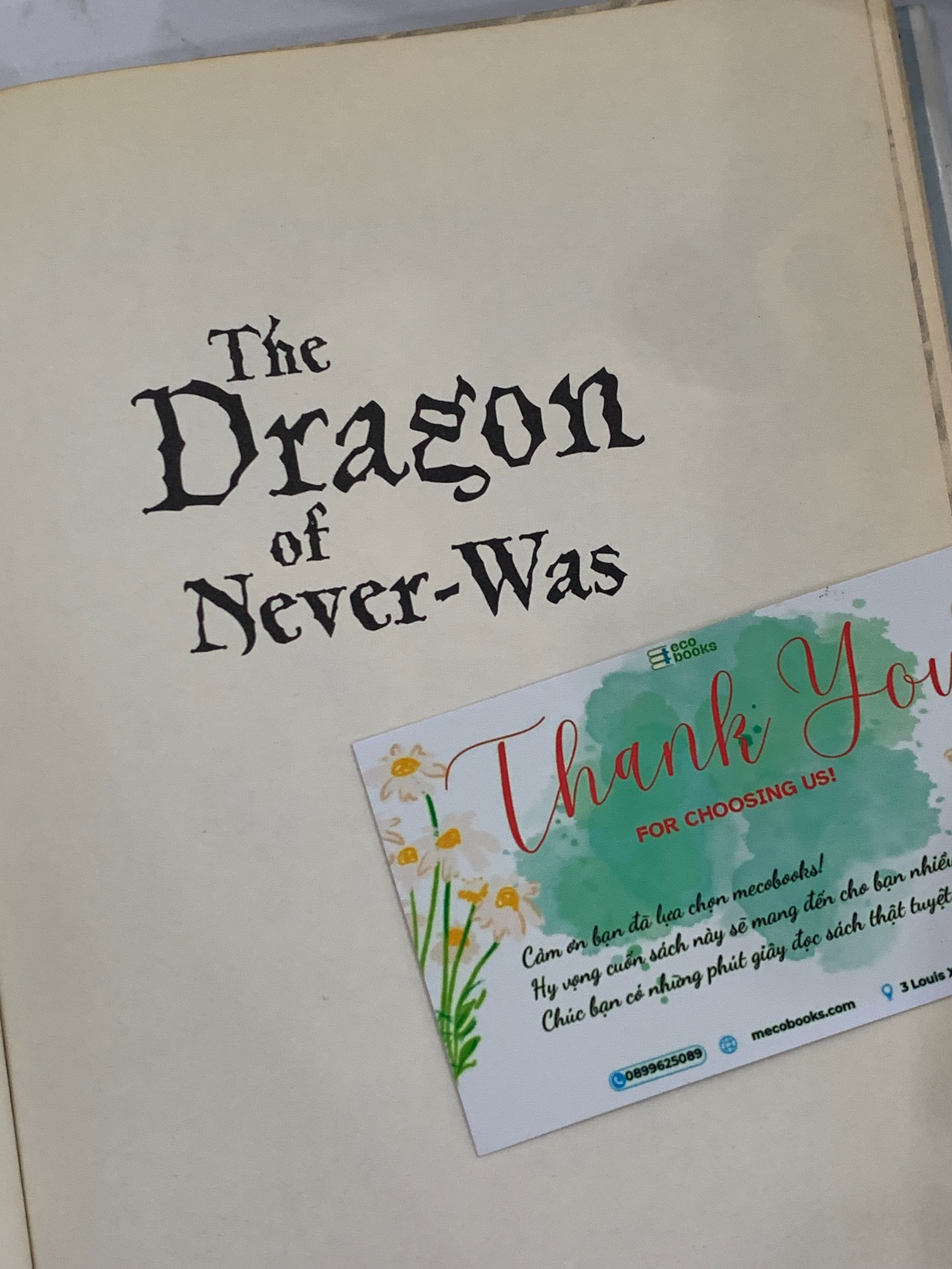 The Dragon of Never-Was – Ann Downer
