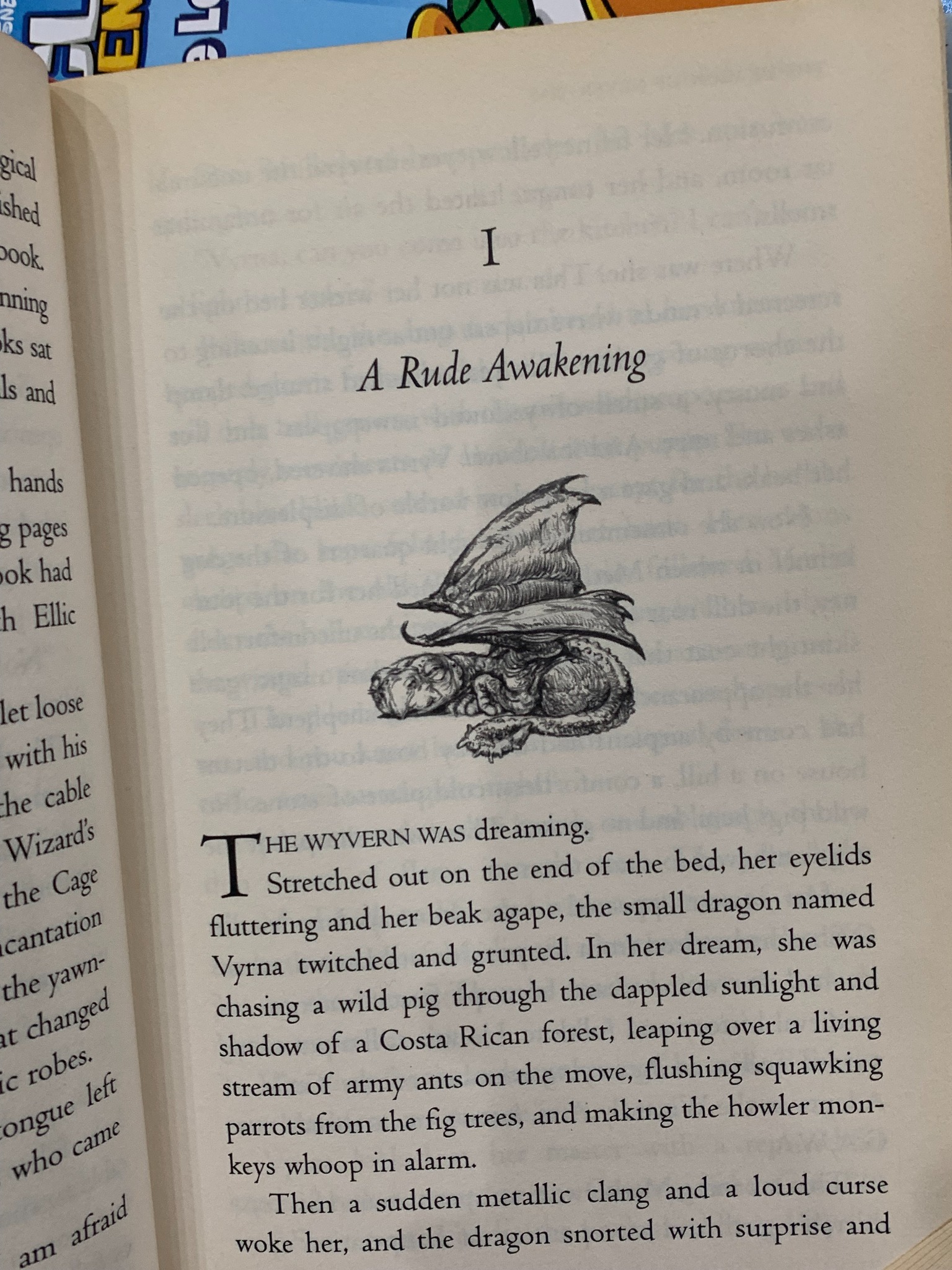 The Dragon of Never-Was – Ann Downer