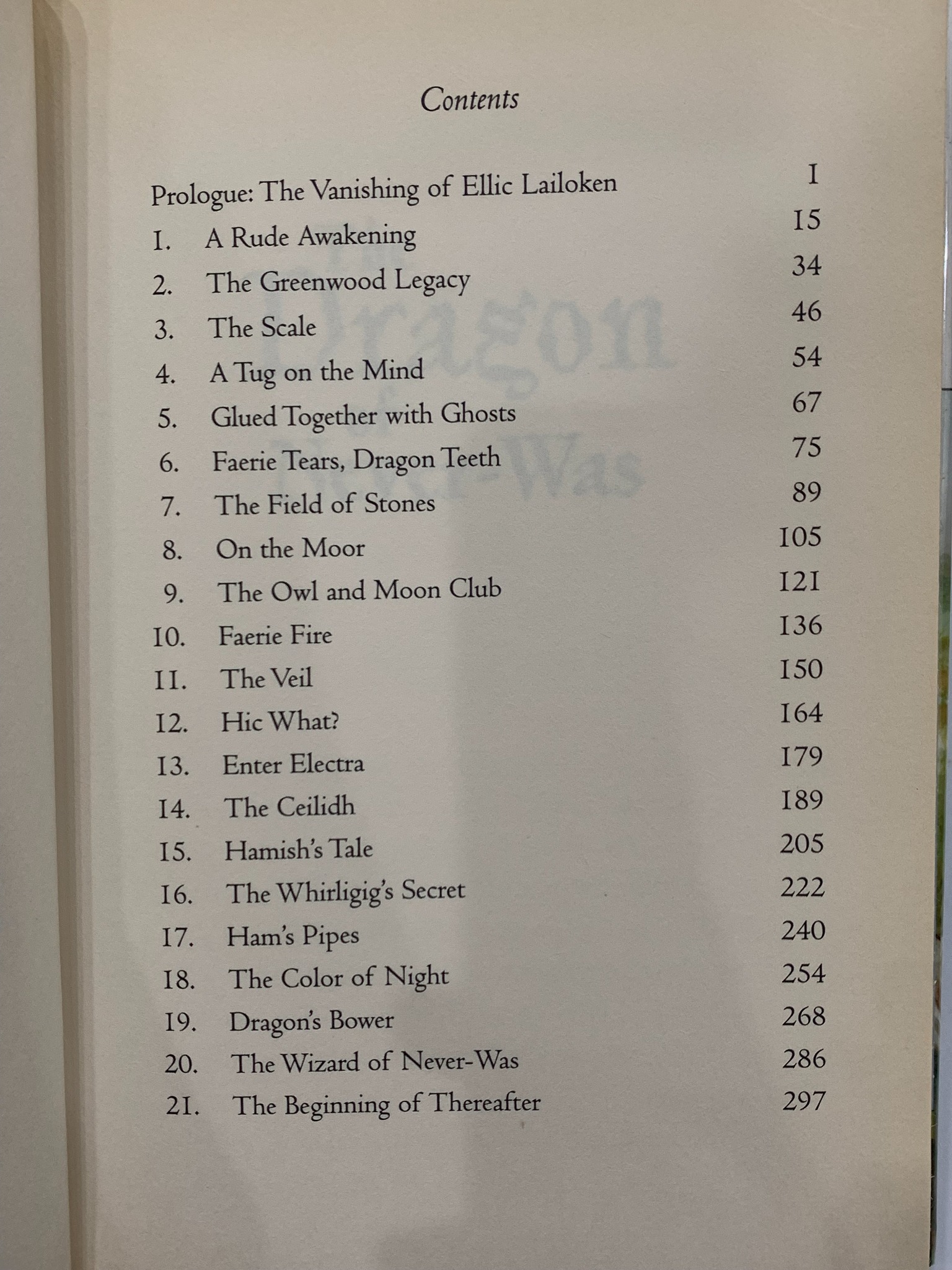 The Dragon of Never-Was – Ann Downer