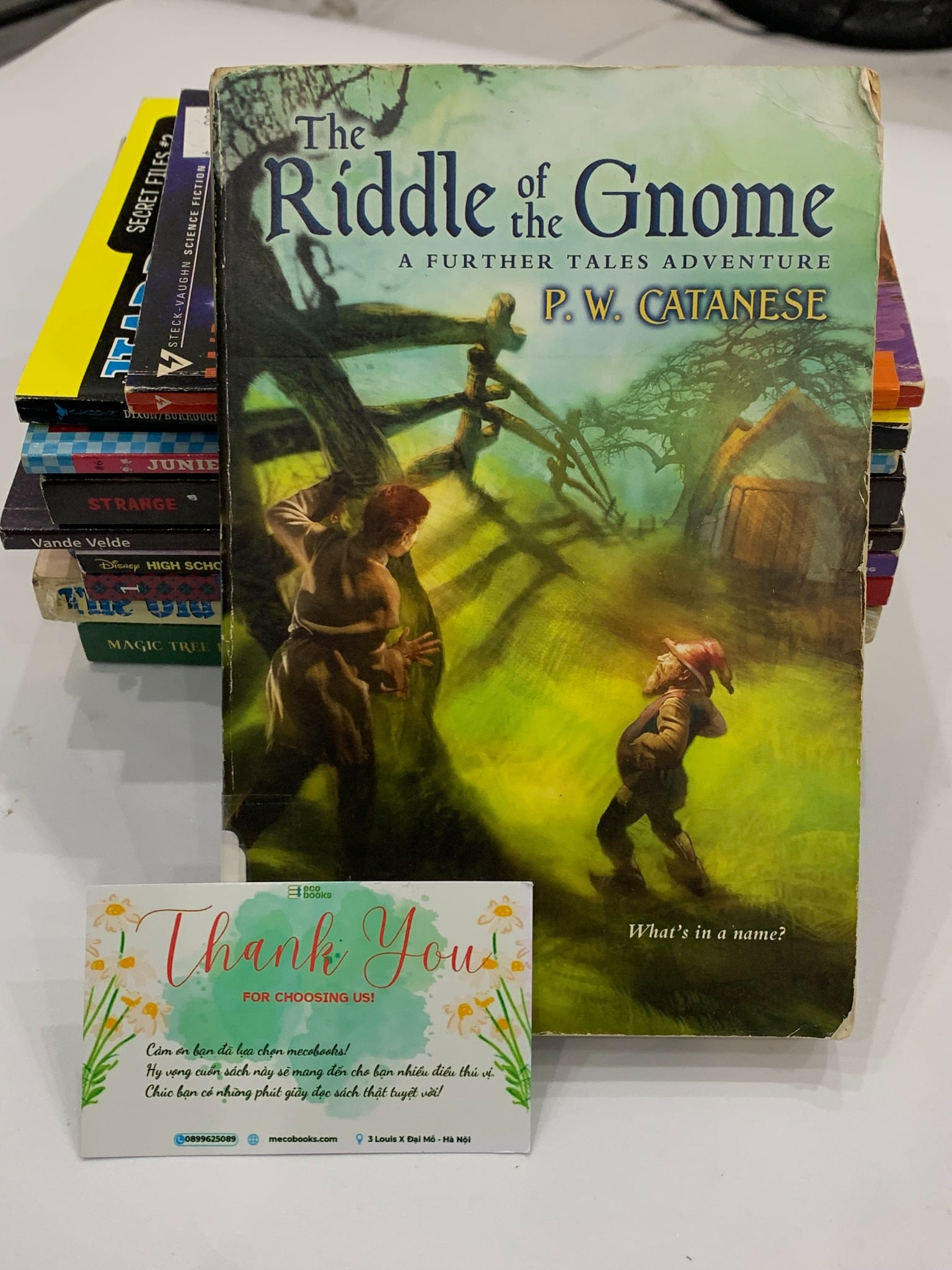 The Riddle of the Gnome – P. W. Catanese
