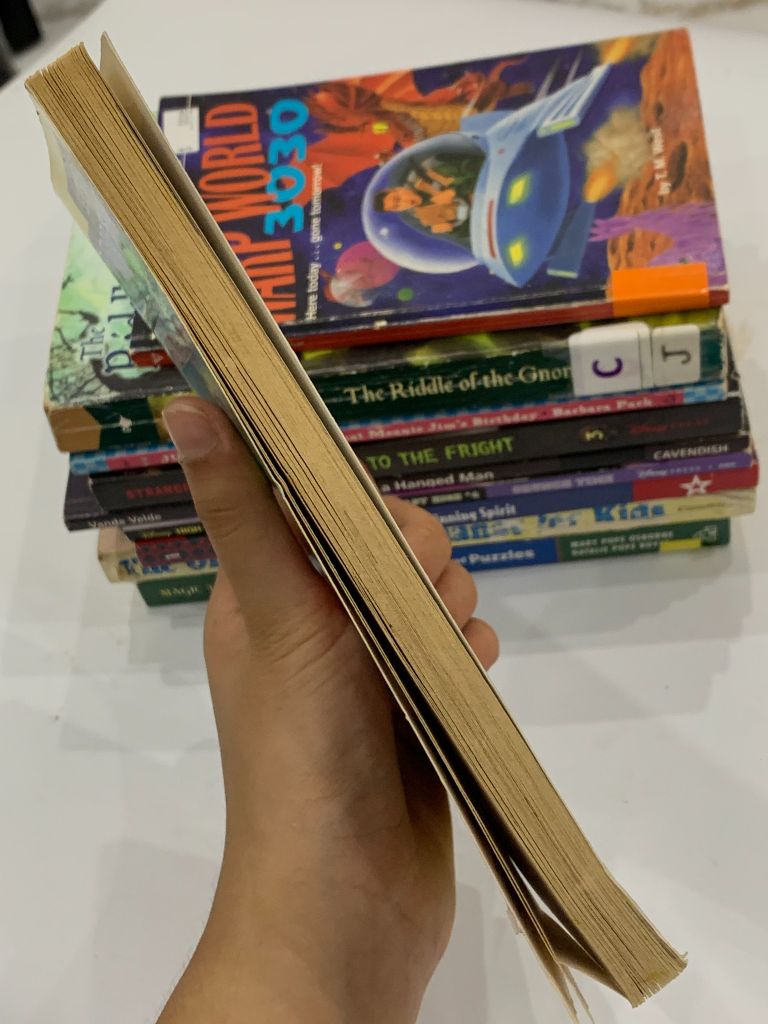 The Hardy Boys: The Missing Mitt – Franklin W. Dixon - Ảnh thực tế 10