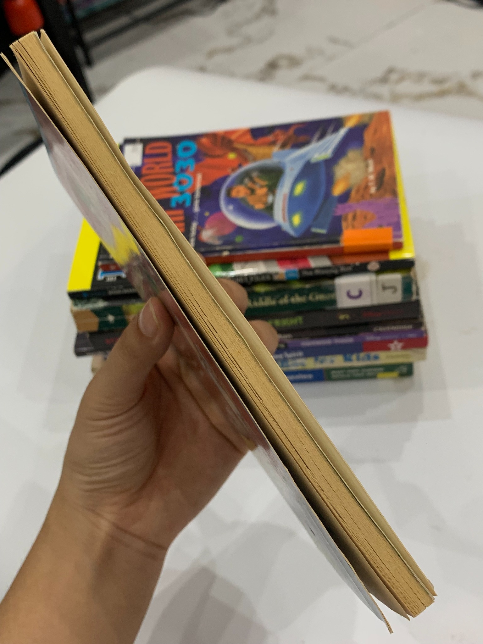 Junie B. Jones and That Meanie Jim's Birthday – Barbara Park