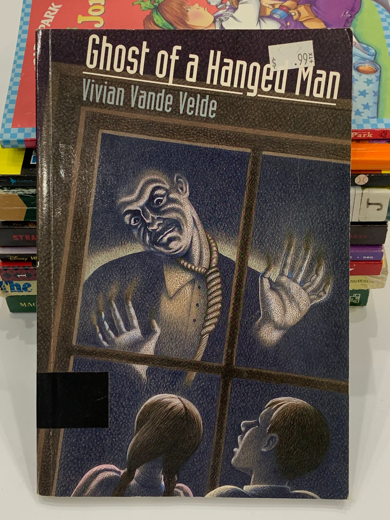 Ghost of a Hanged Man – Vivian Vande Velde