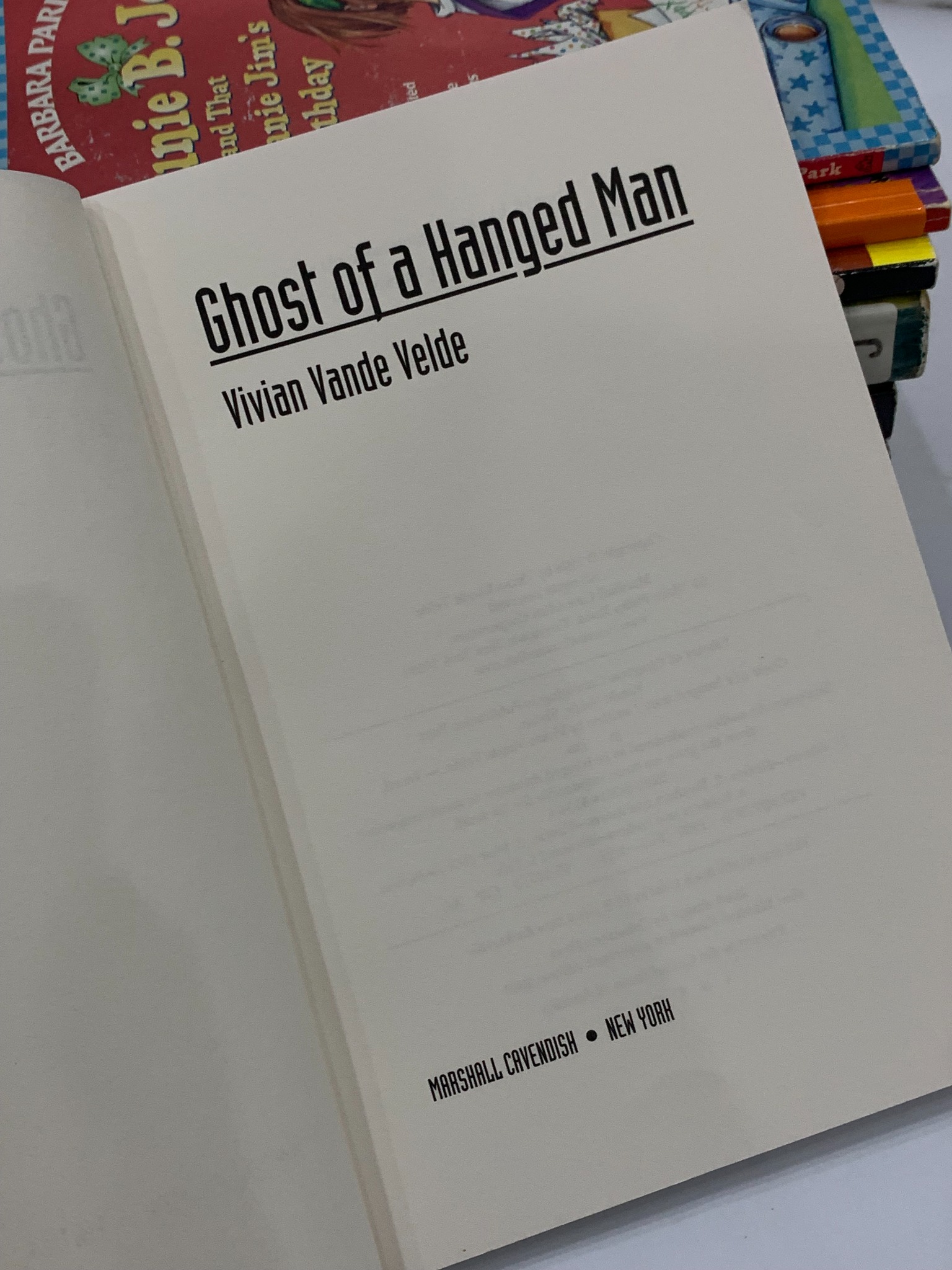 Ghost of a Hanged Man – Vivian Vande Velde