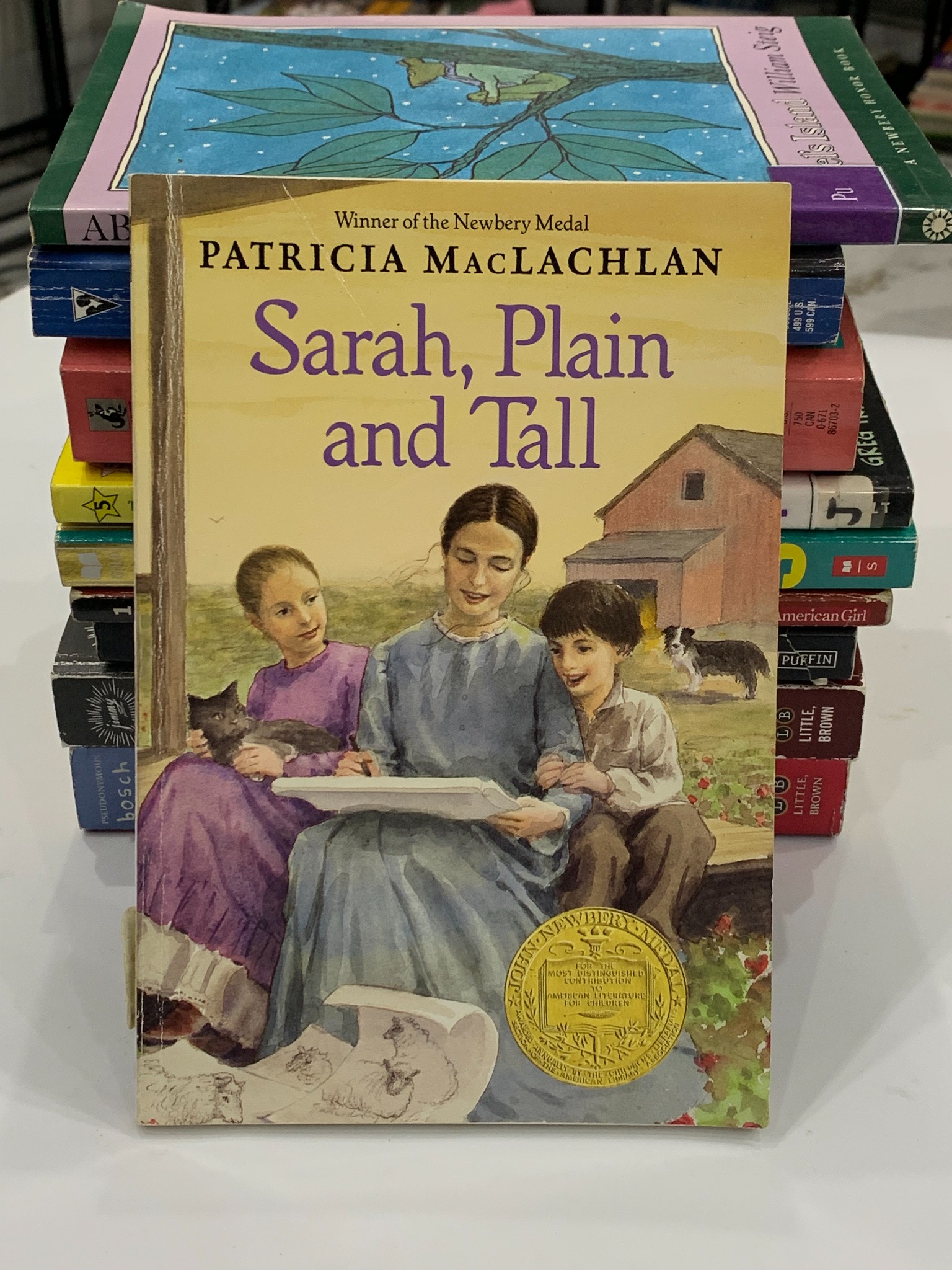 Sarah, Plain and Tall – Patricia MacLachlan - ảnh 2