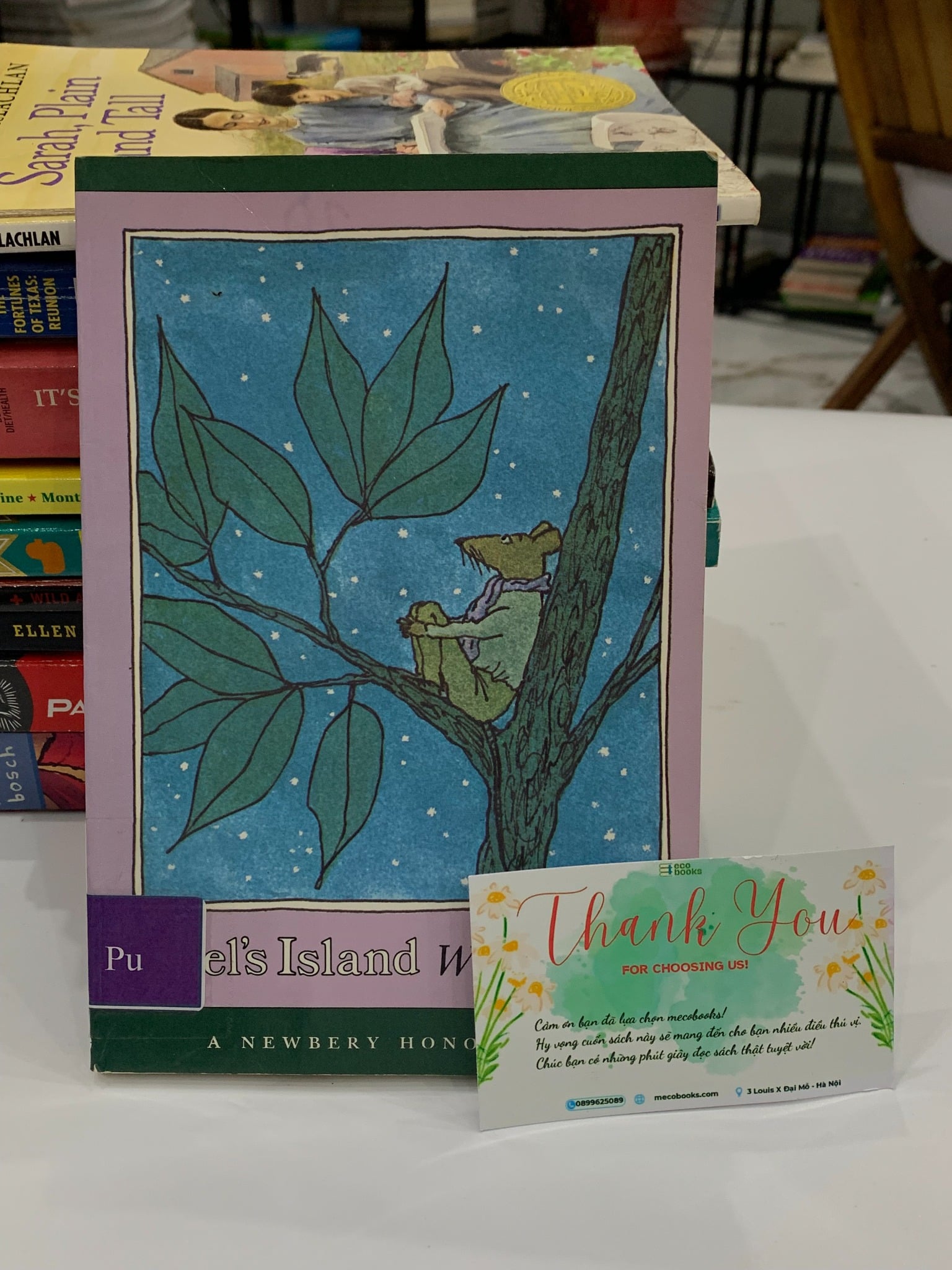 Abel's Island – William Steig