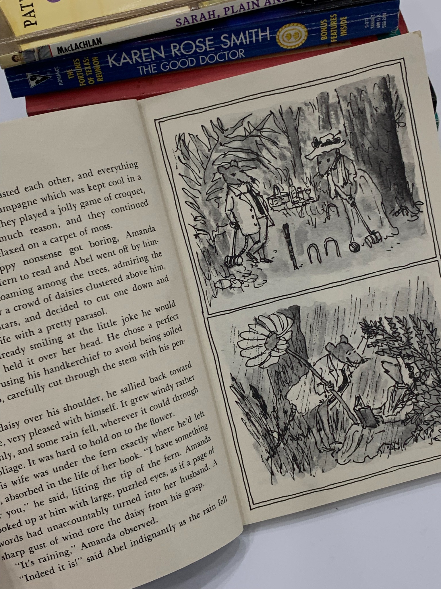 Abel's Island – William Steig
