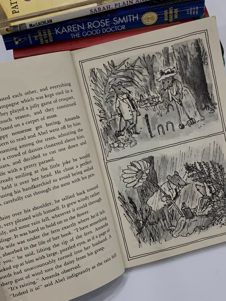Abel's Island – William Steig - Ảnh thực tế 8