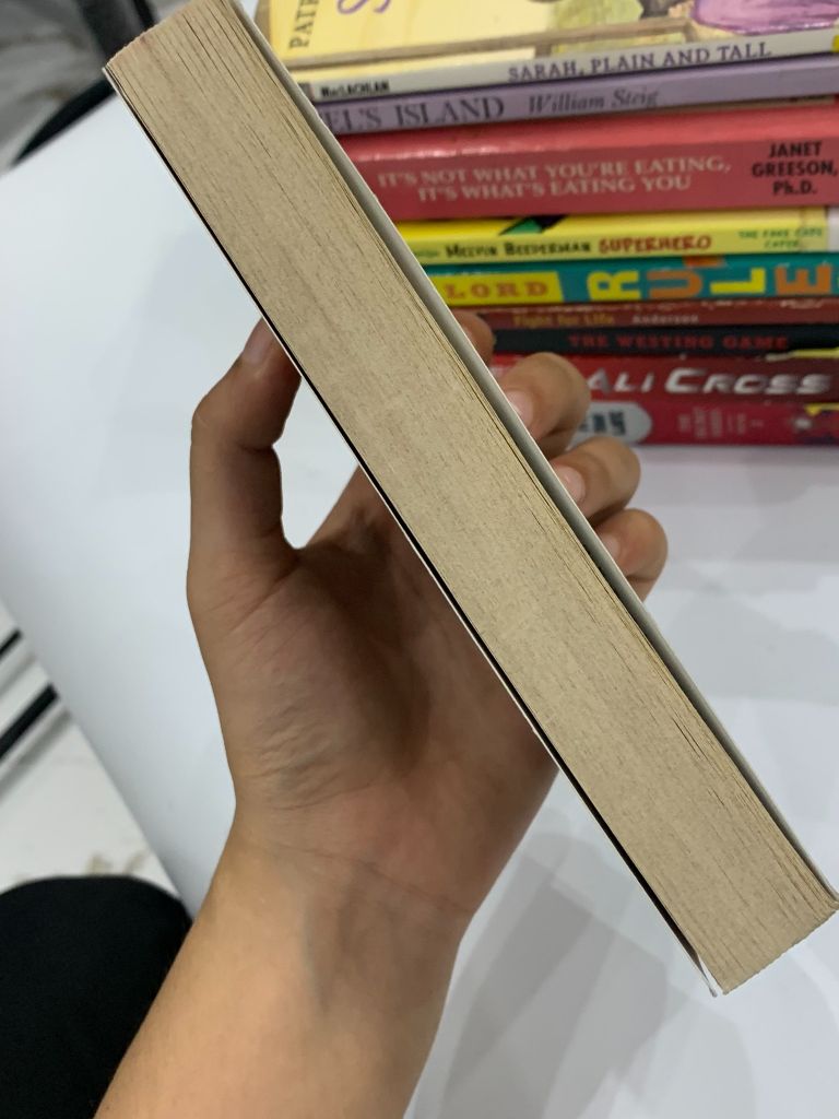 The Good Doctor – Karen Rose Smith - Ảnh thực tế 6