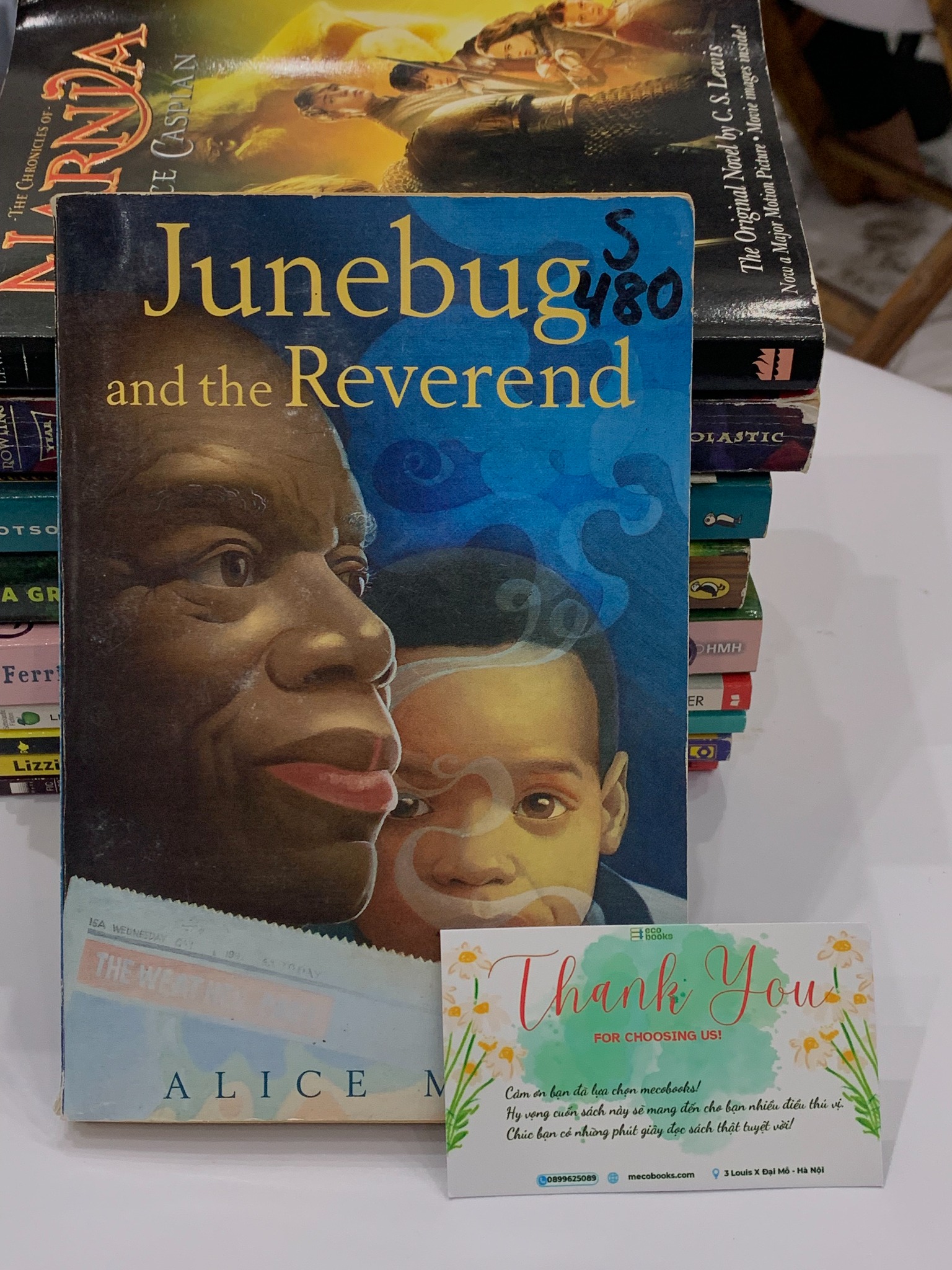 Junebug and the Reverend – Alice Mead