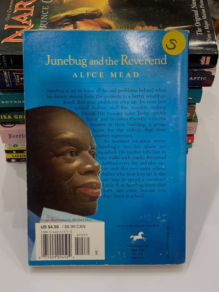 Junebug and the Reverend – Alice Mead - Ảnh thực tế 3