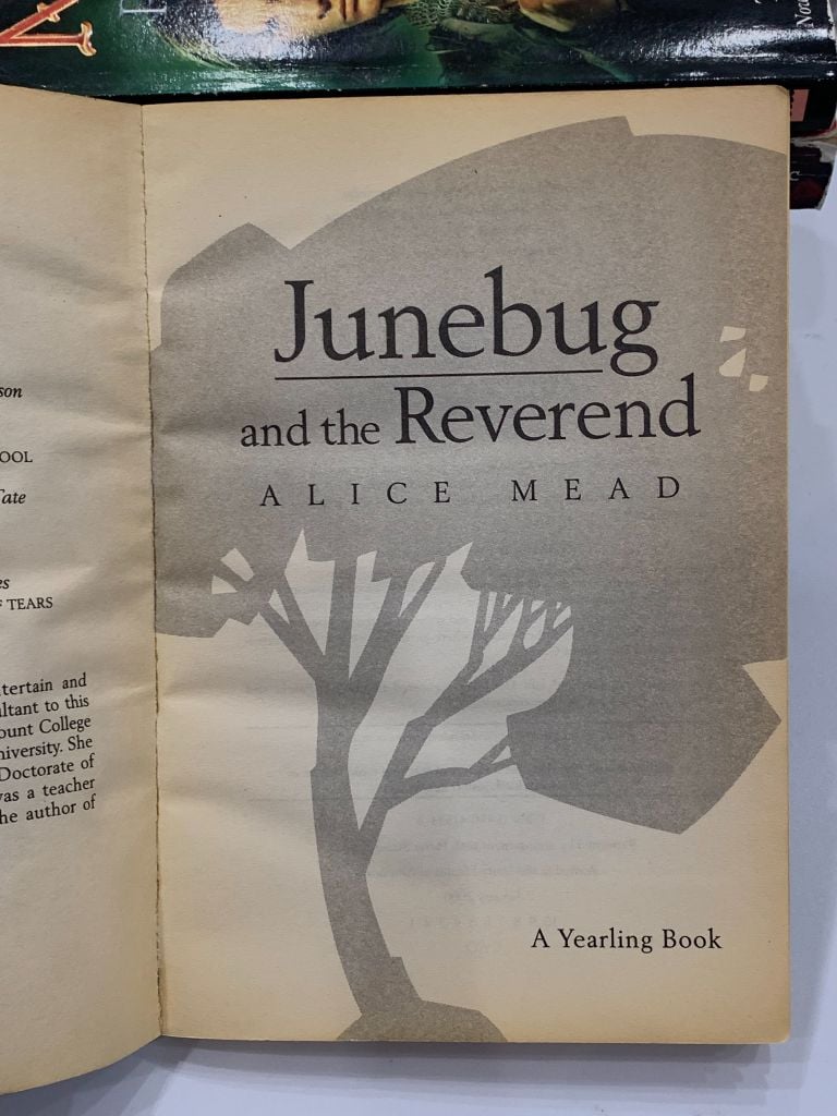 Junebug and the Reverend – Alice Mead - Ảnh thực tế 7