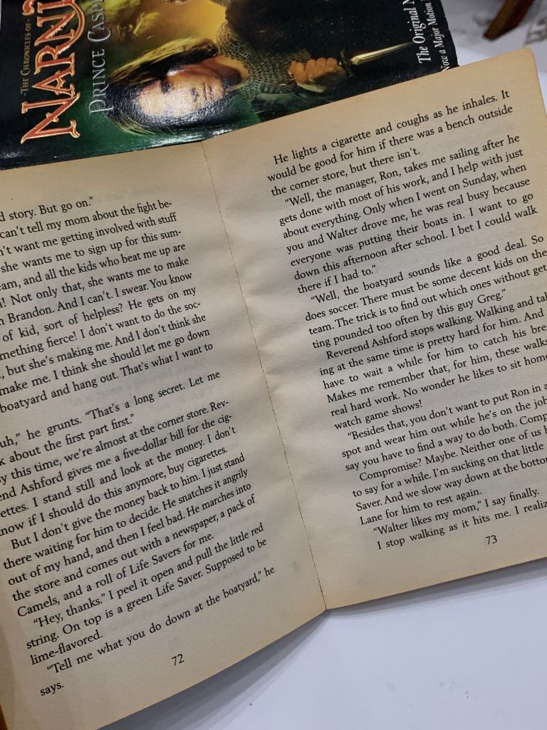 Junebug and the Reverend – Alice Mead - Ảnh thực tế 10