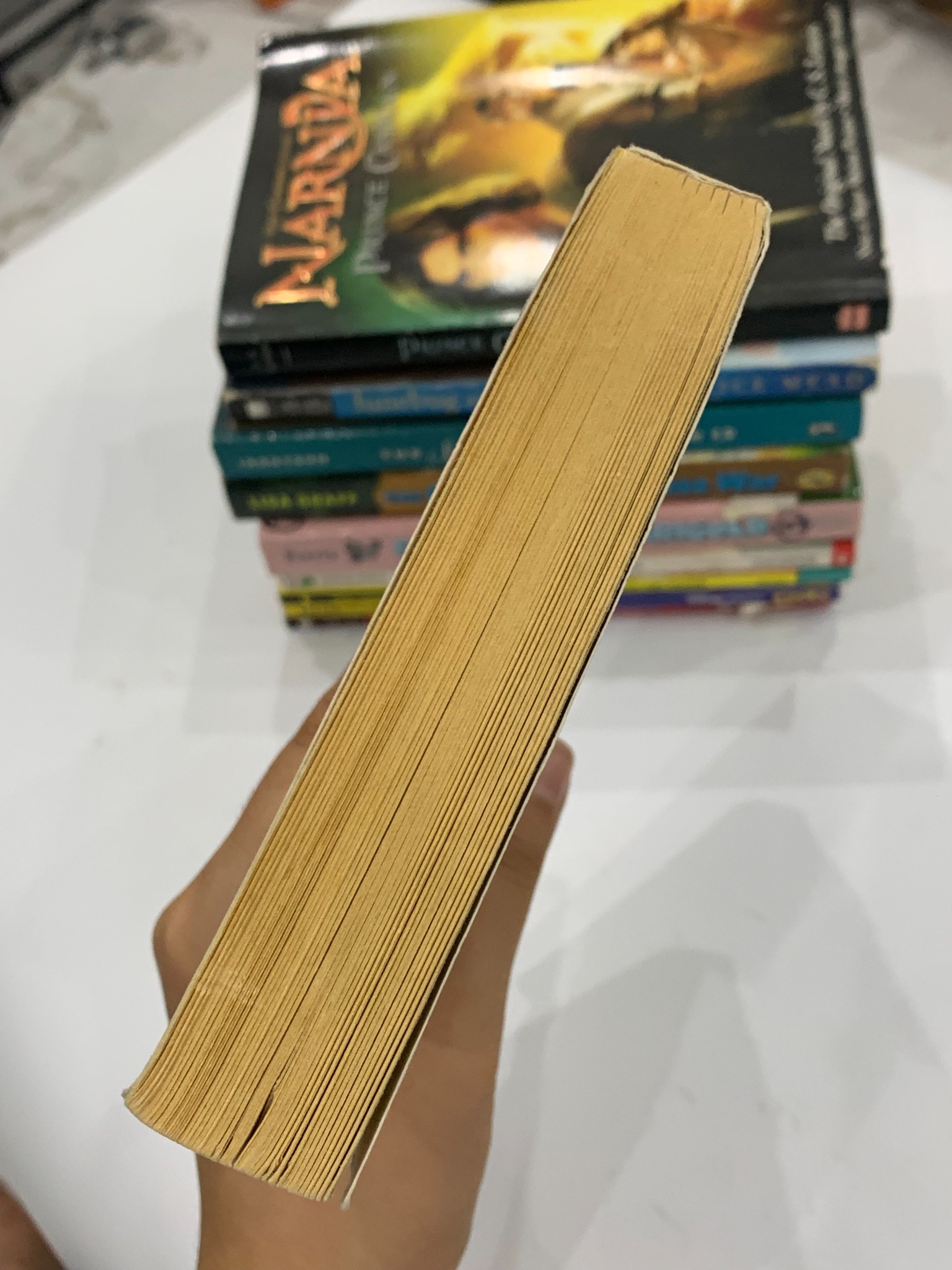Harry Potter and the Sorcerer's Stone – J.K. Rowling