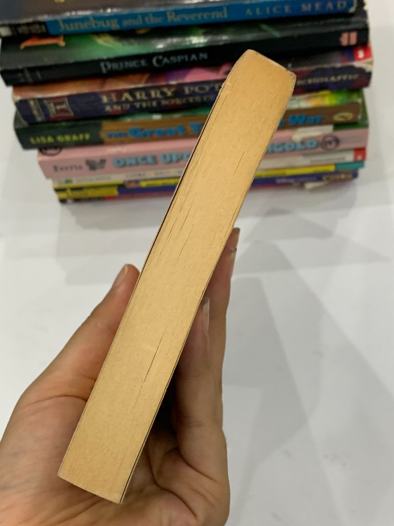 The Secret of Platform 13 – Eva Ibbotson - Ảnh thực tế 5
