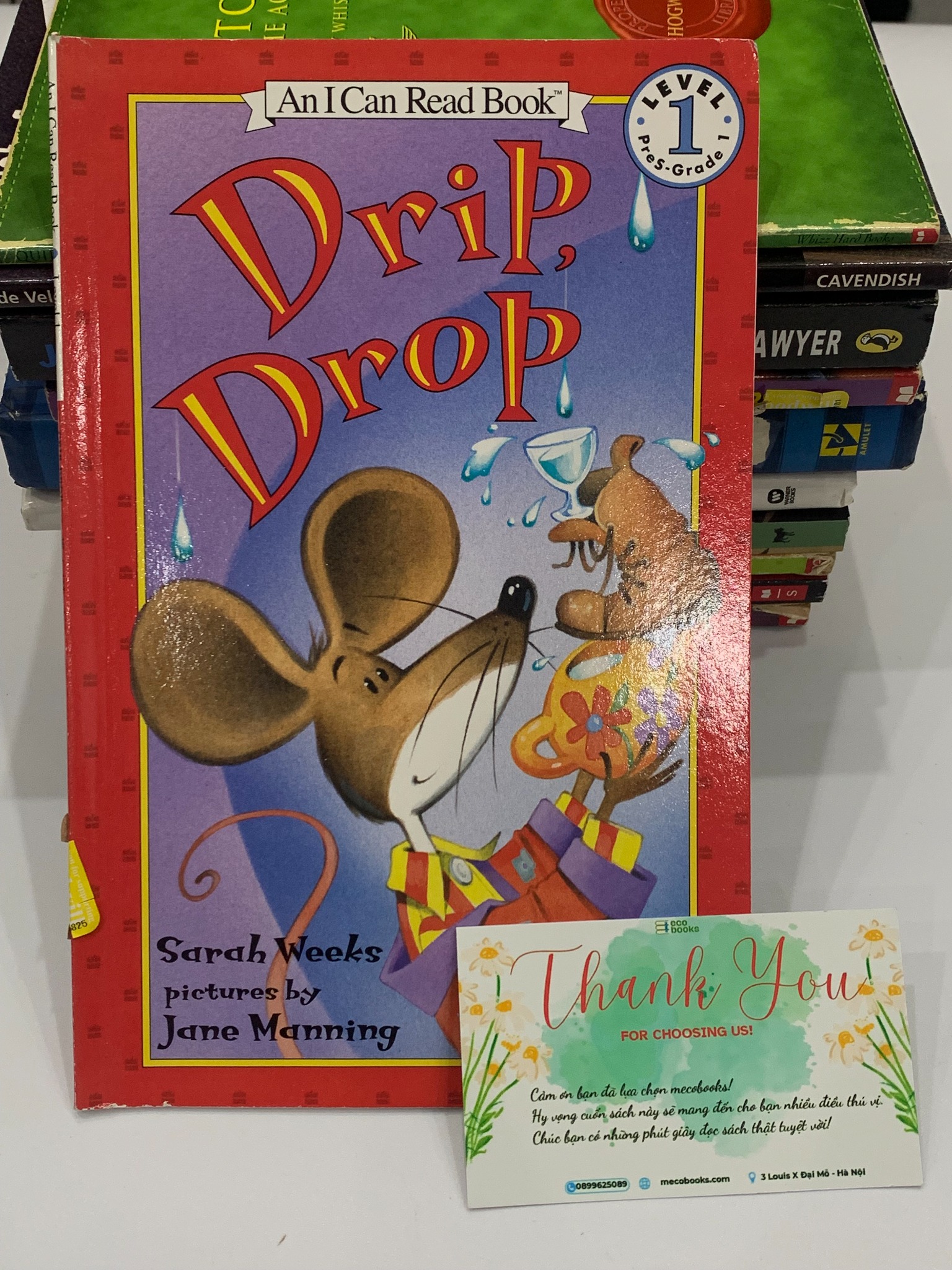 Drip, Drop – Sarah Weeks (tranh minh họa Jane Manning)