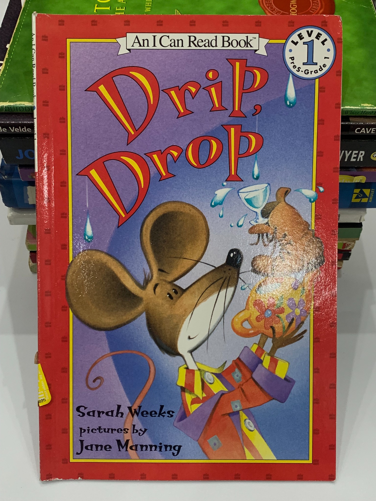 Drip, Drop – Sarah Weeks (tranh minh họa Jane Manning)
