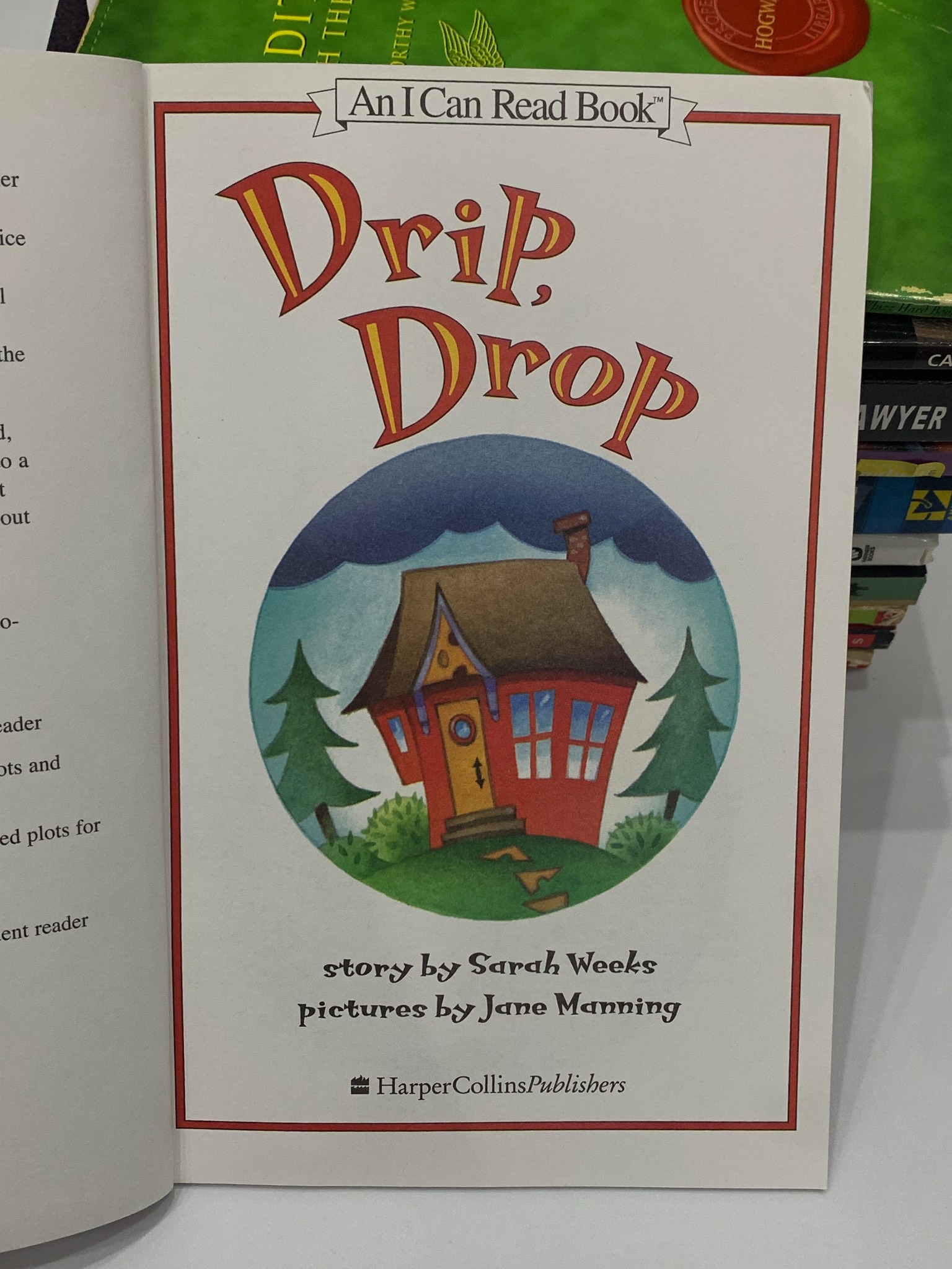 Drip, Drop – Sarah Weeks (tranh minh họa Jane Manning)
