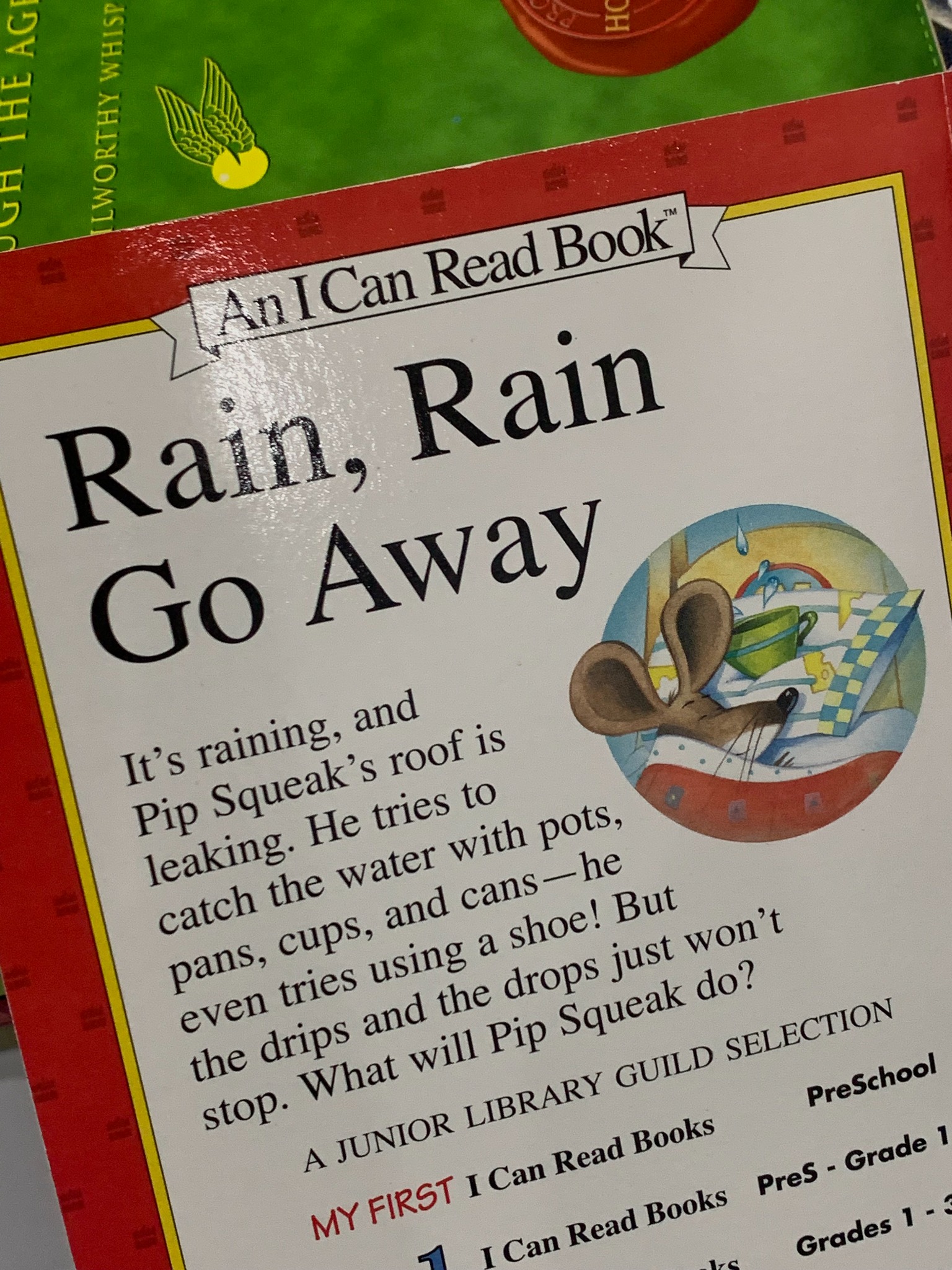 Drip, Drop – Sarah Weeks (tranh minh họa Jane Manning)