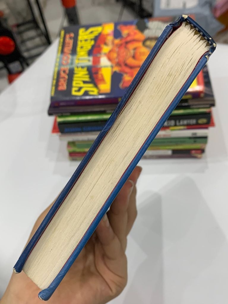 Diary of a Wimpy Kid: Rodrick Rules – Jeff Kinney - Ảnh thực tế 5