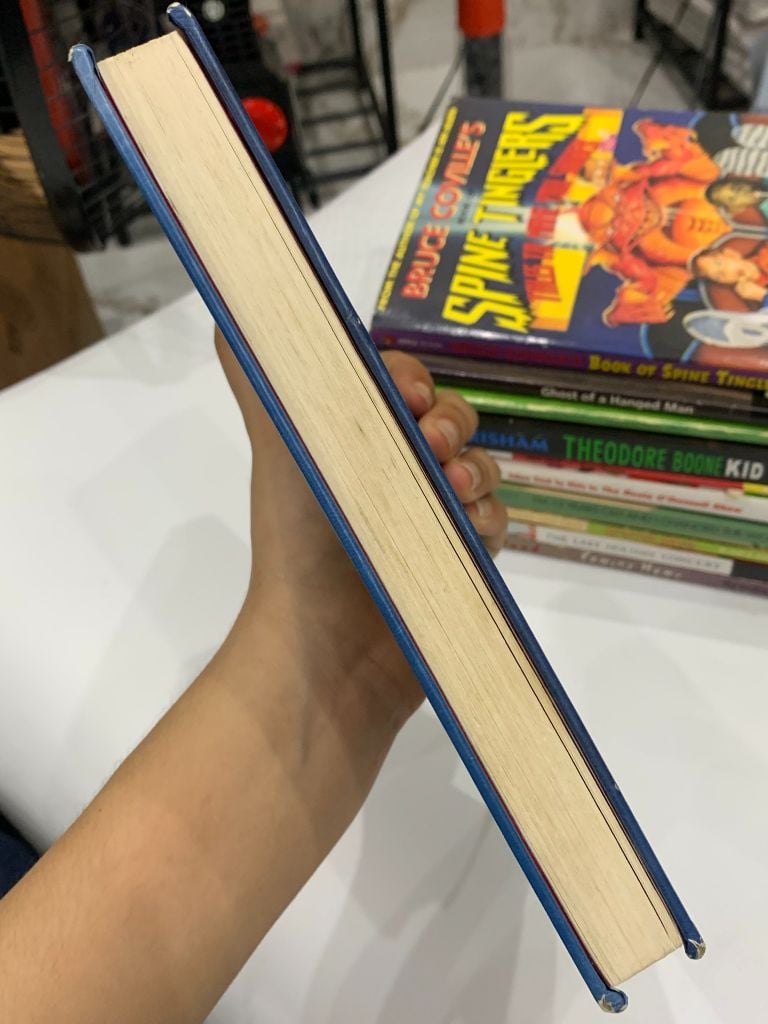Diary of a Wimpy Kid: Rodrick Rules – Jeff Kinney - Ảnh thực tế 6