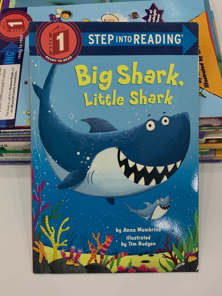 Big Shark, Little Shark – Anna Membrino - Ảnh chụp thực tế