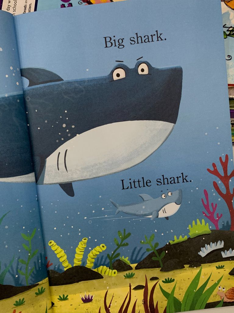 Big Shark, Little Shark – Anna Membrino - Ảnh thực tế 5