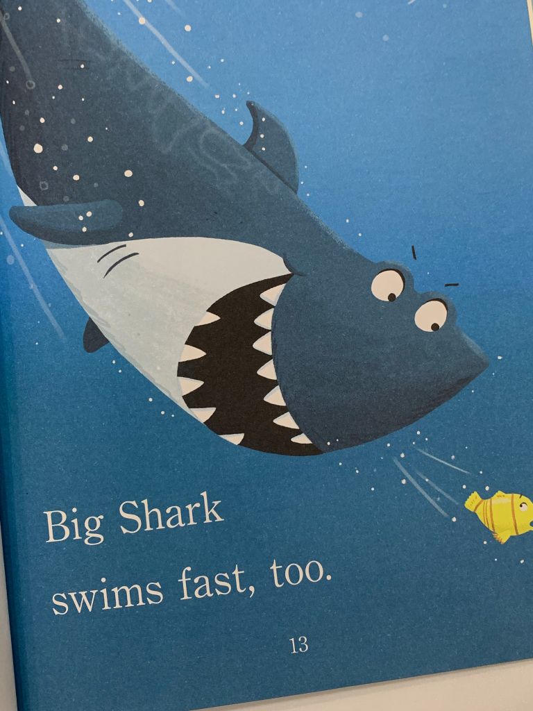 Big Shark, Little Shark – Anna Membrino - Ảnh thực tế 6