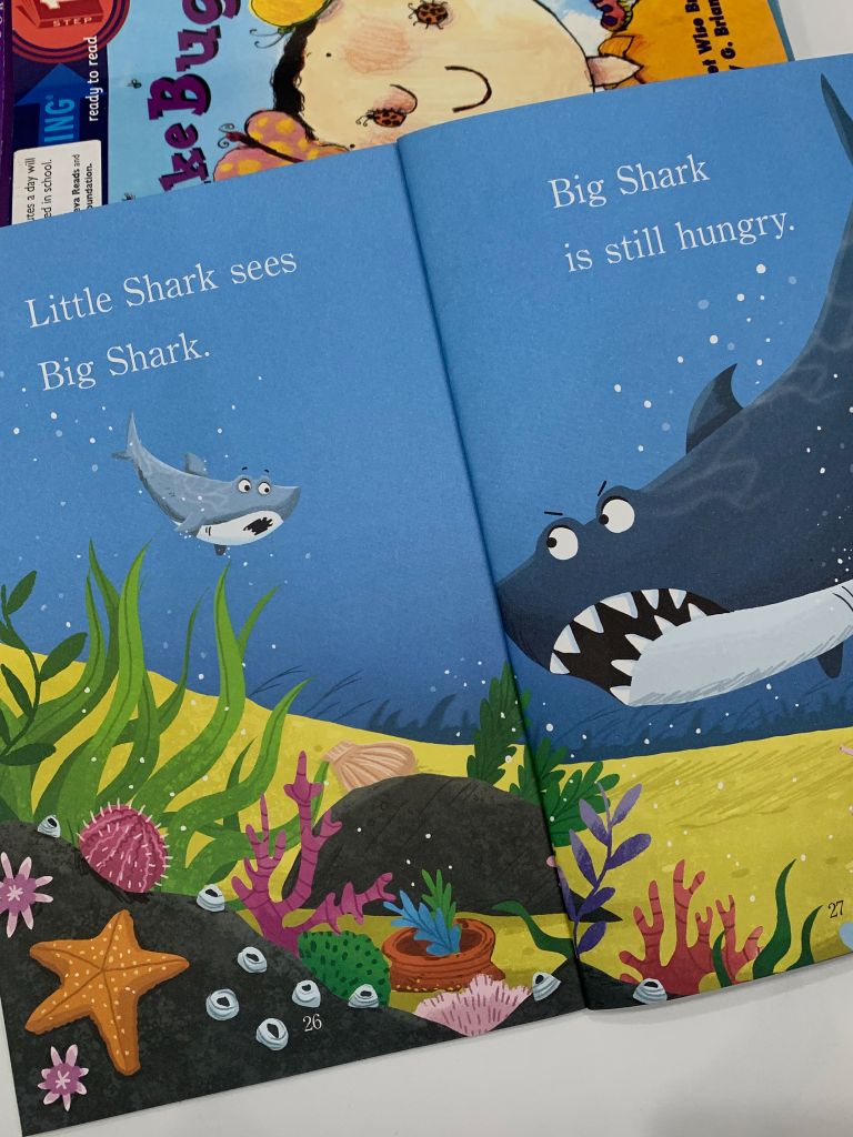 Big Shark, Little Shark – Anna Membrino - Ảnh thực tế 7
