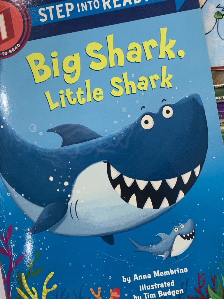 Big Shark, Little Shark – Anna Membrino - Ảnh thực tế 9