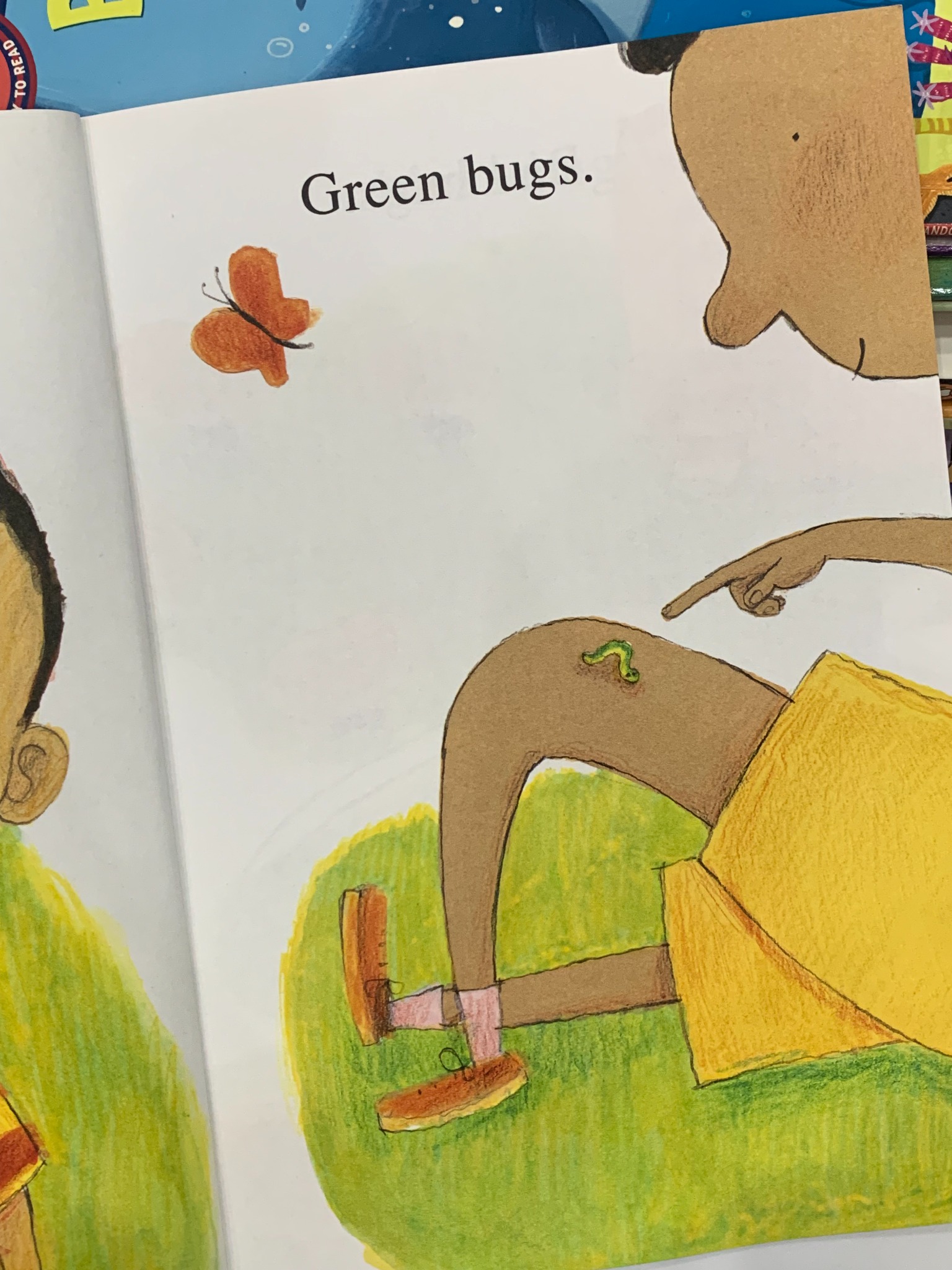 I Like Bugs – Margaret Wise Brown