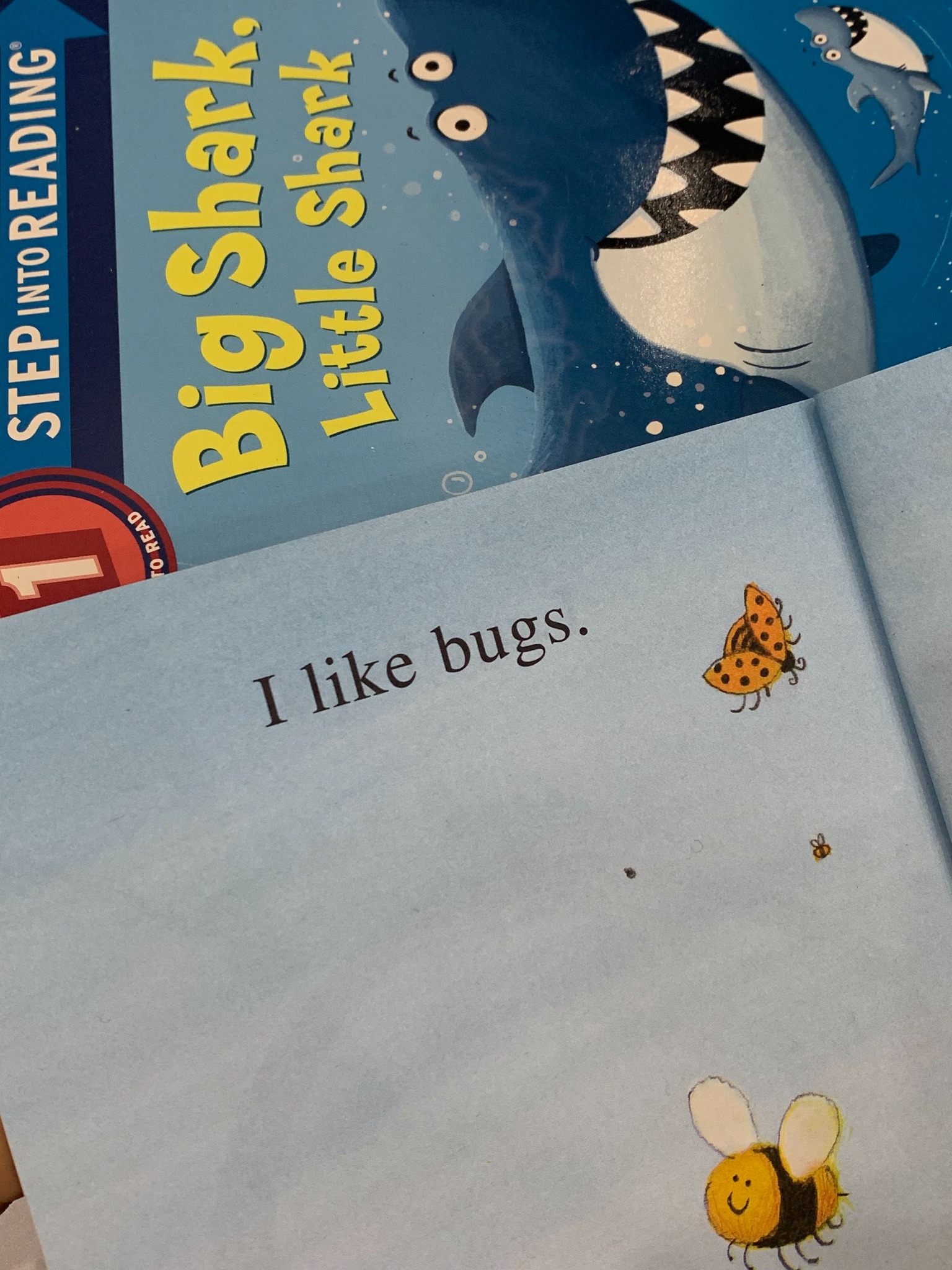 I Like Bugs – Margaret Wise Brown